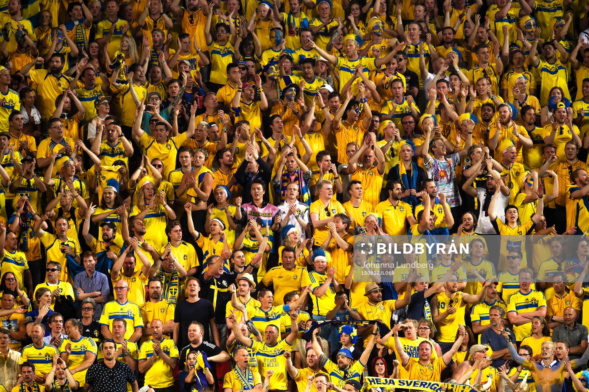 Svenska supportrar