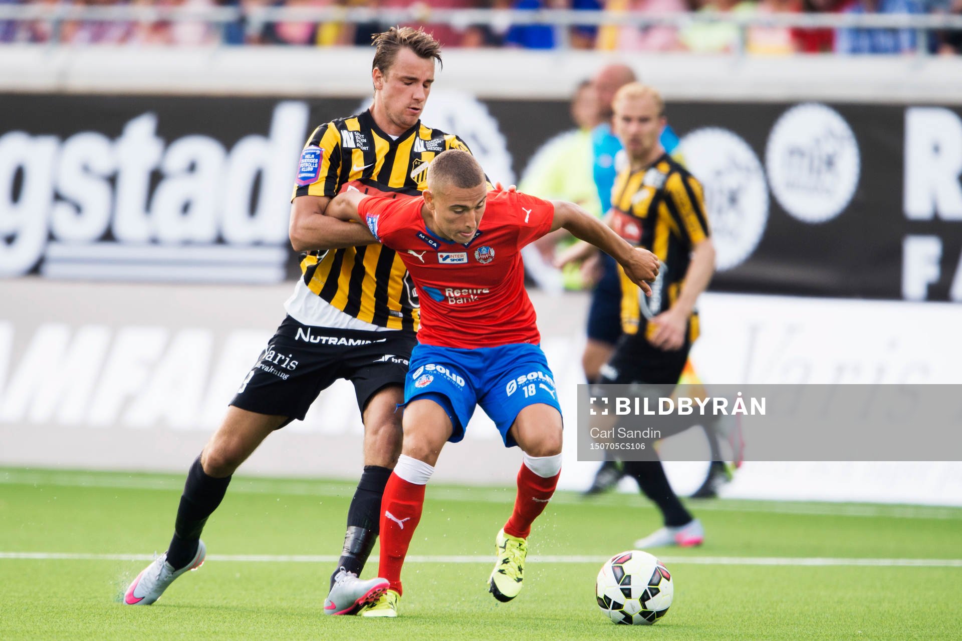 Häckens Jasmin Sudic