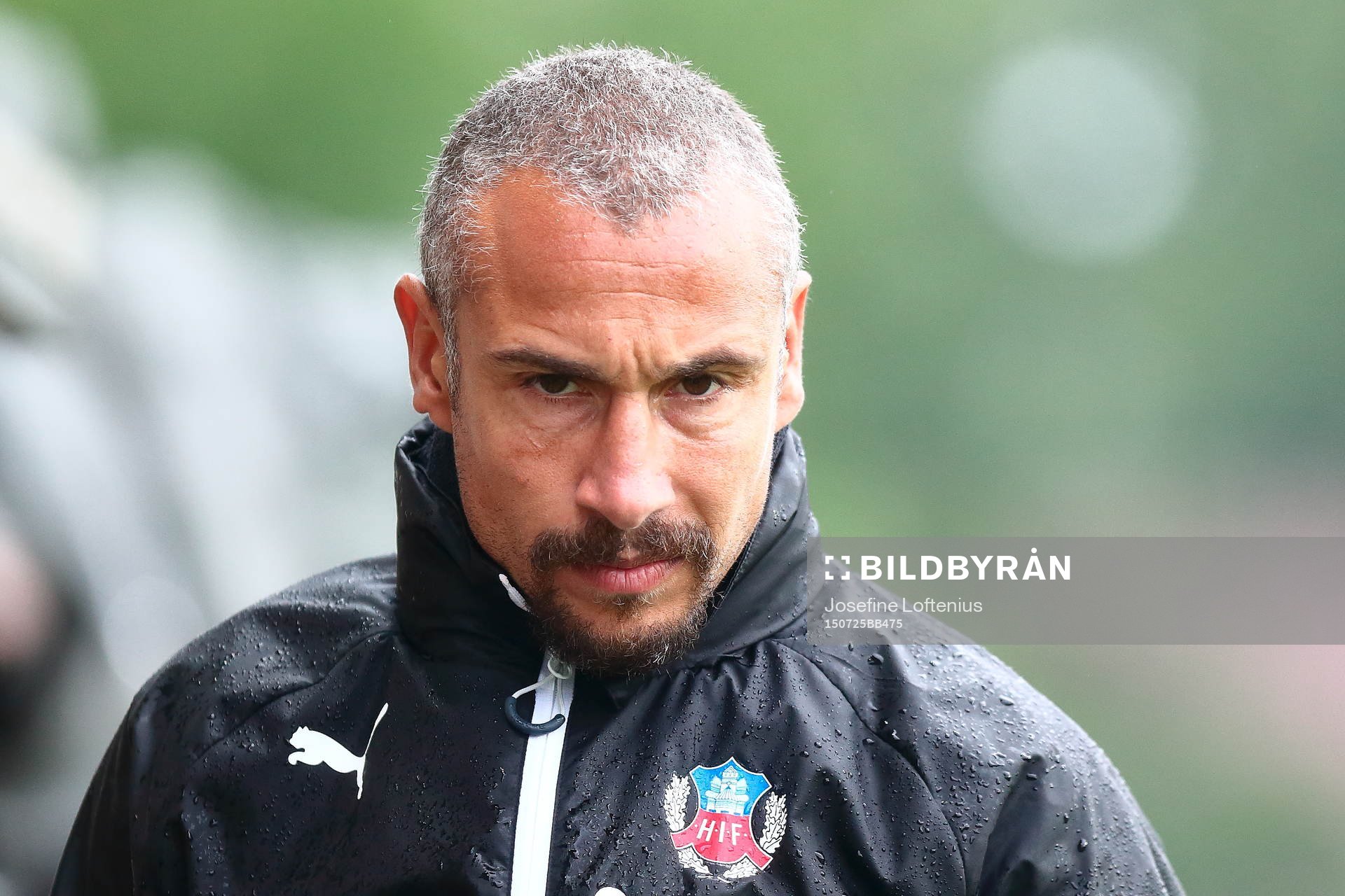 Helsingborgs tränare Henrik Larsson