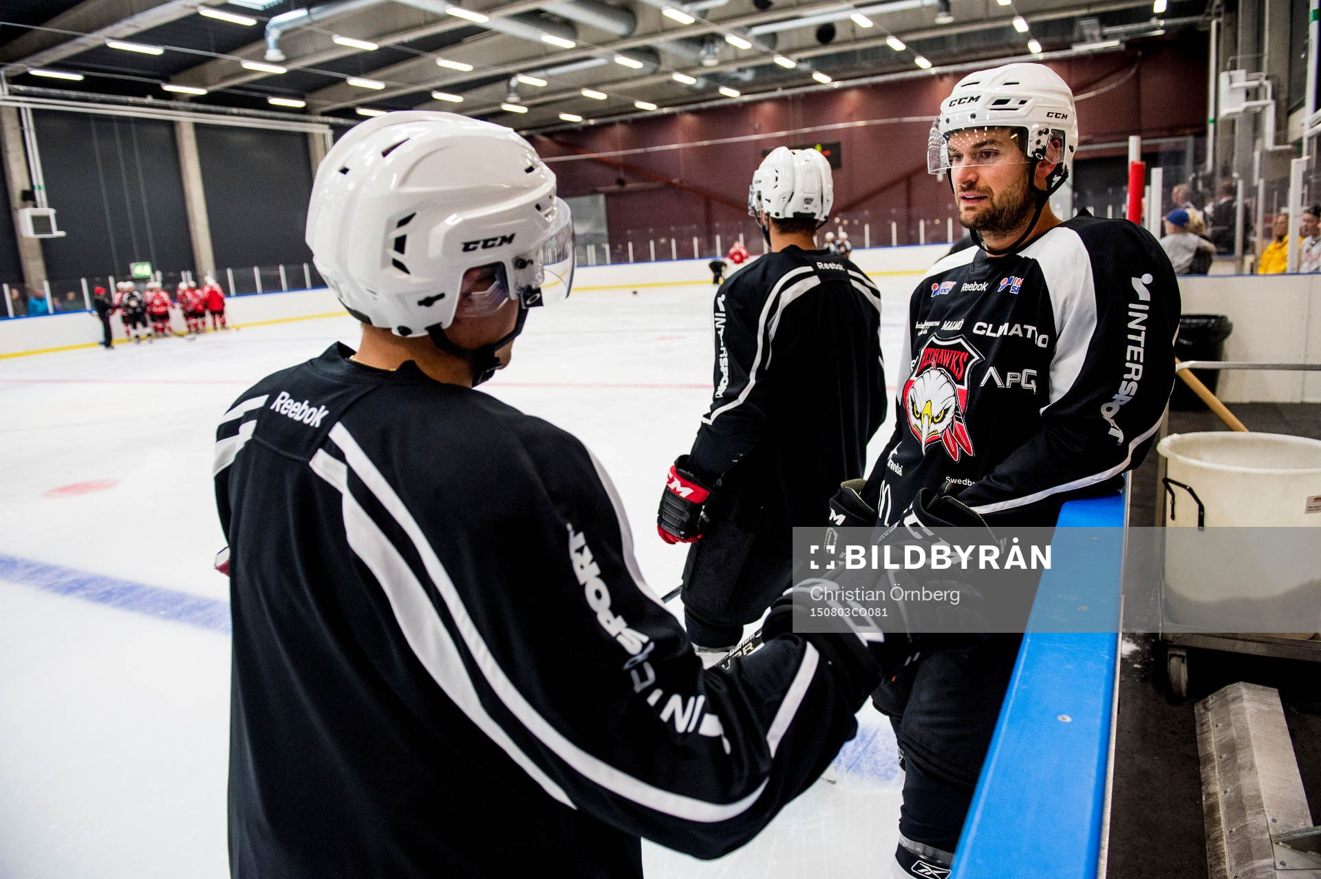 T.J. Galiardi
