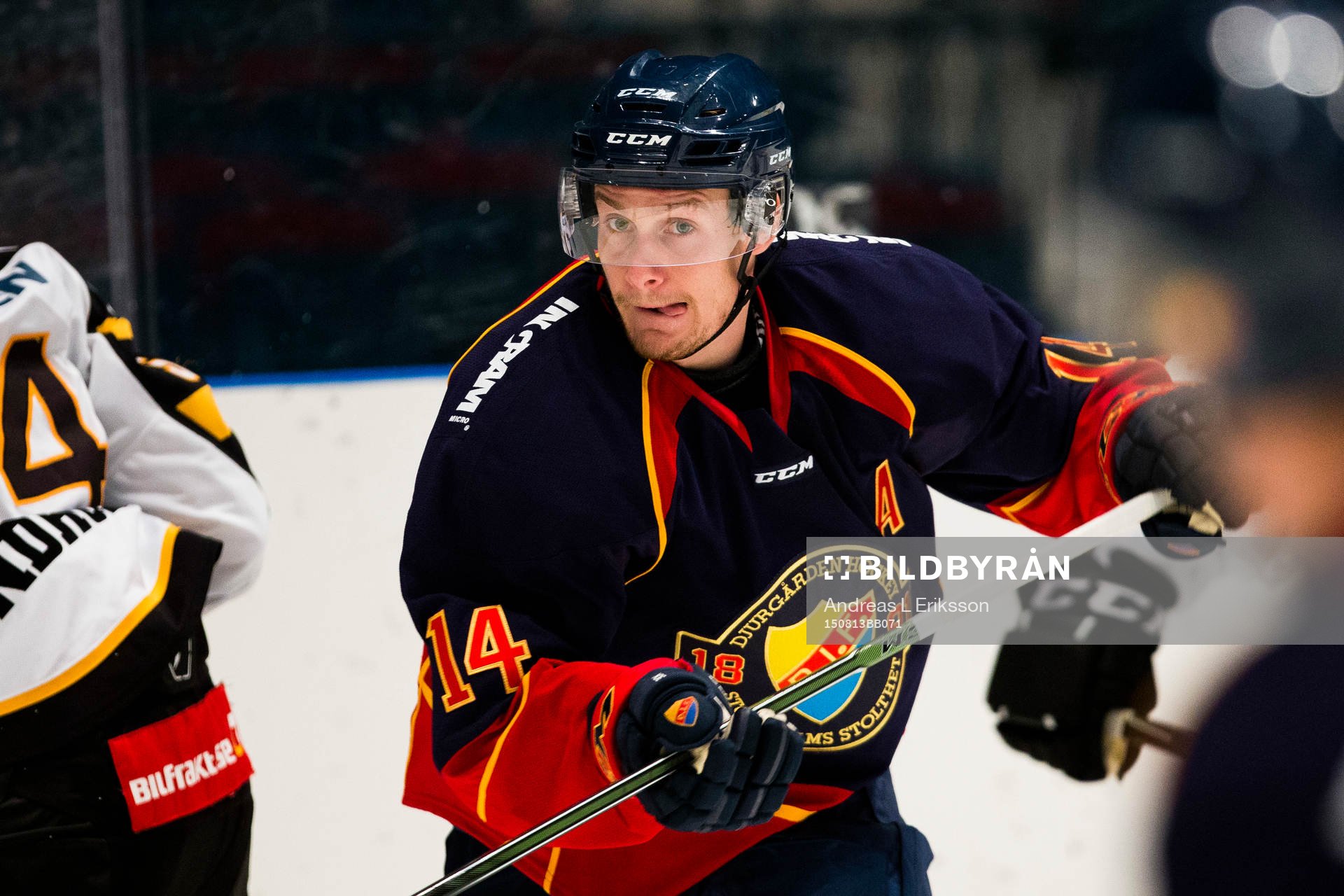 Djurgårdens Alexander Fällström