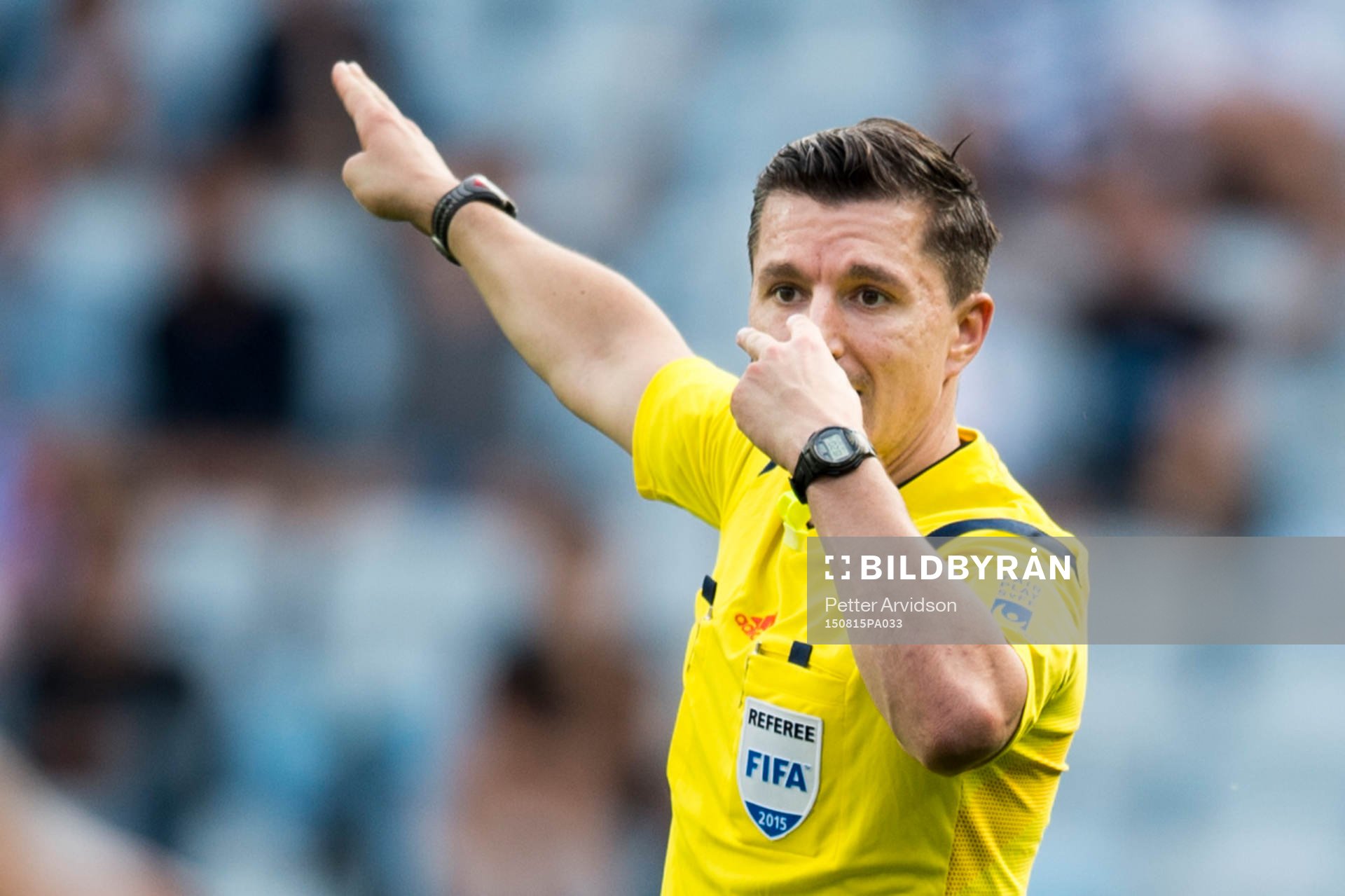 Domare Bojan Pandzic