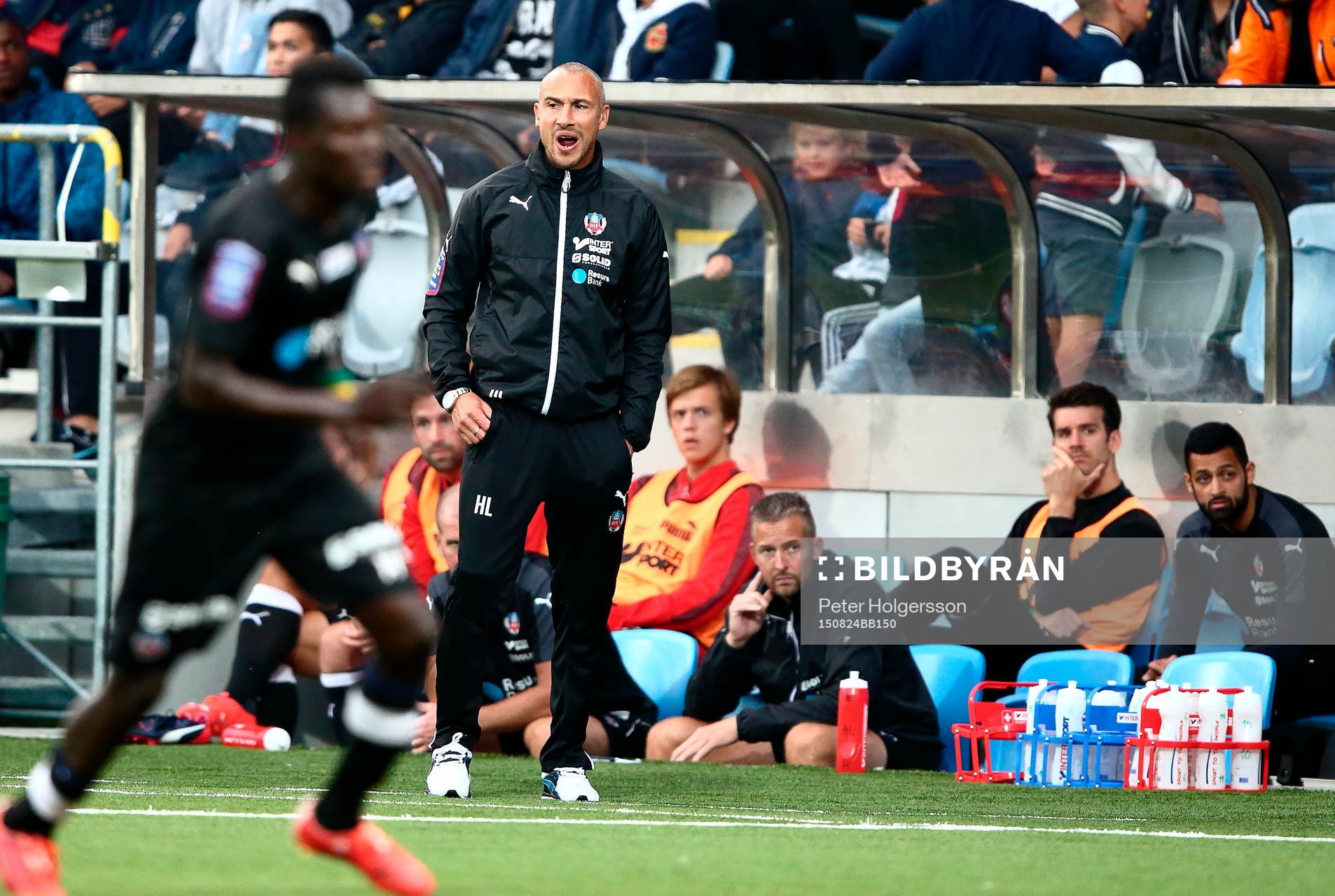 Helsingborgs tränare Henrik Larsson