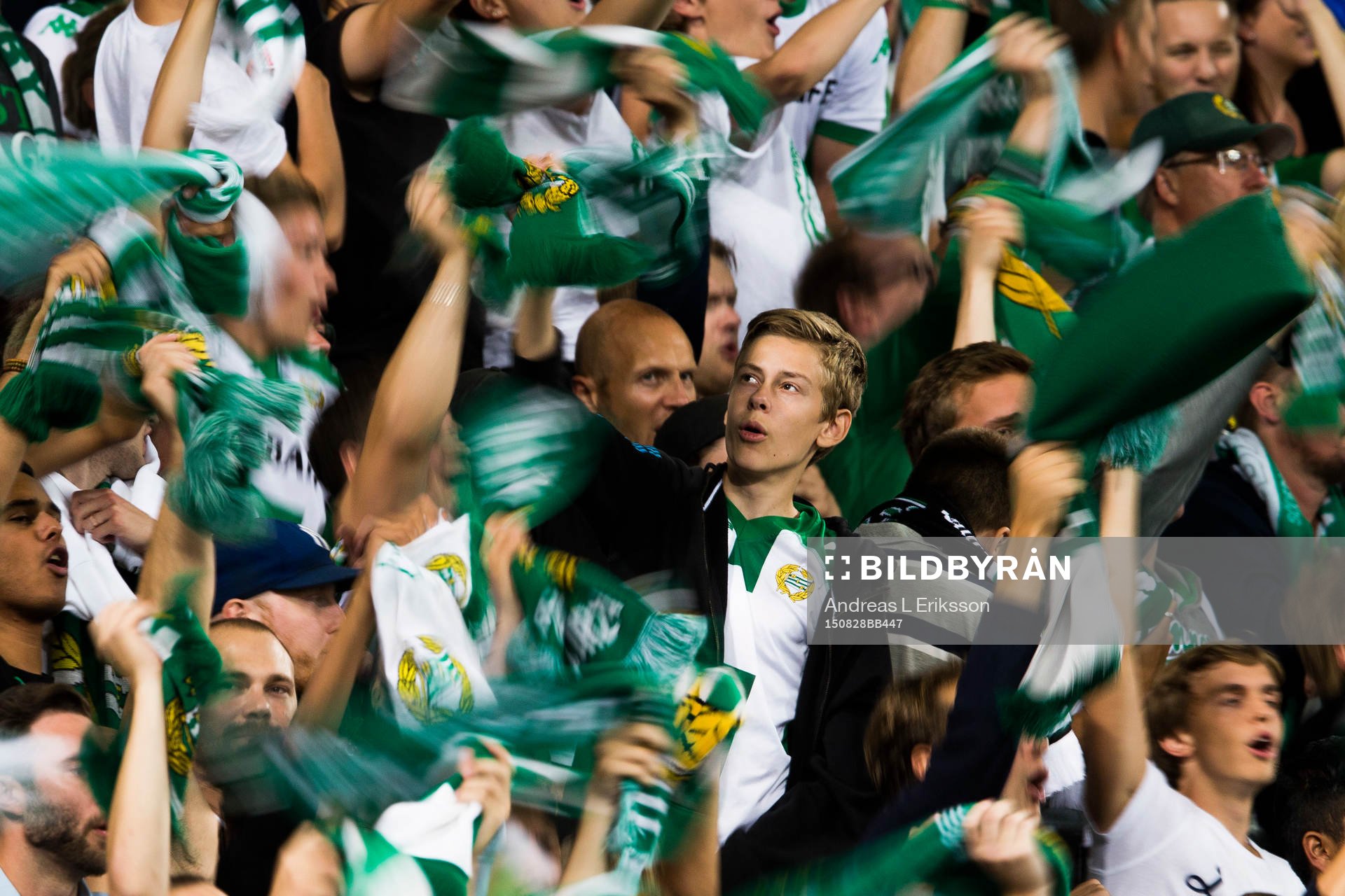 Hammarbys supportrar håller upp sina halsdukar