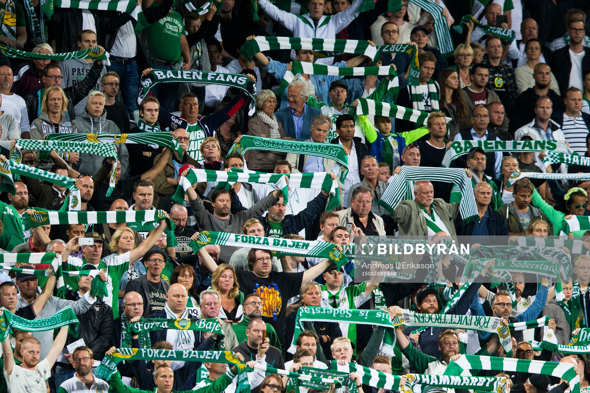 Hammarbys supportrar håller upp sina halsdukar