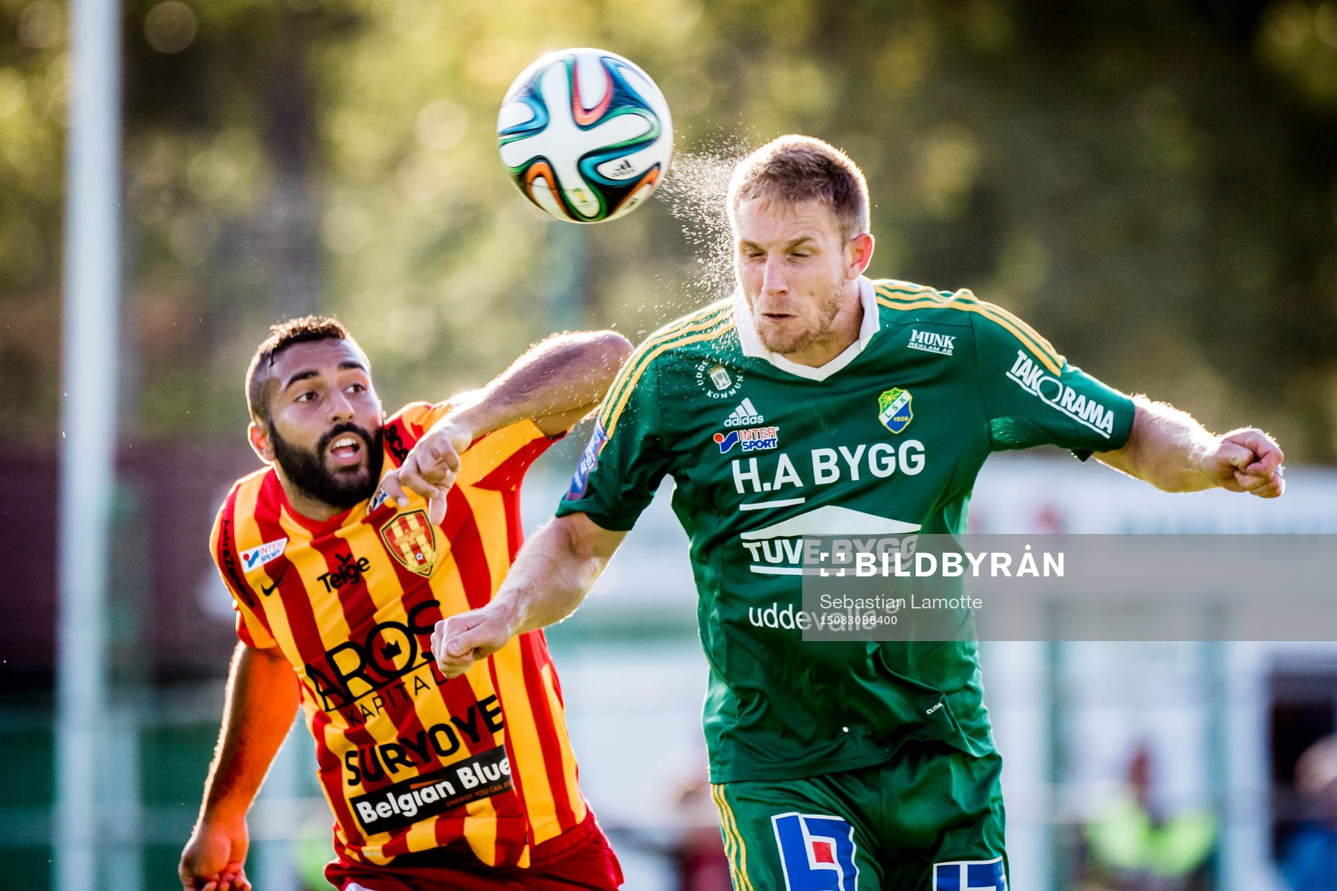 Ljungskiles Steven Old nickar