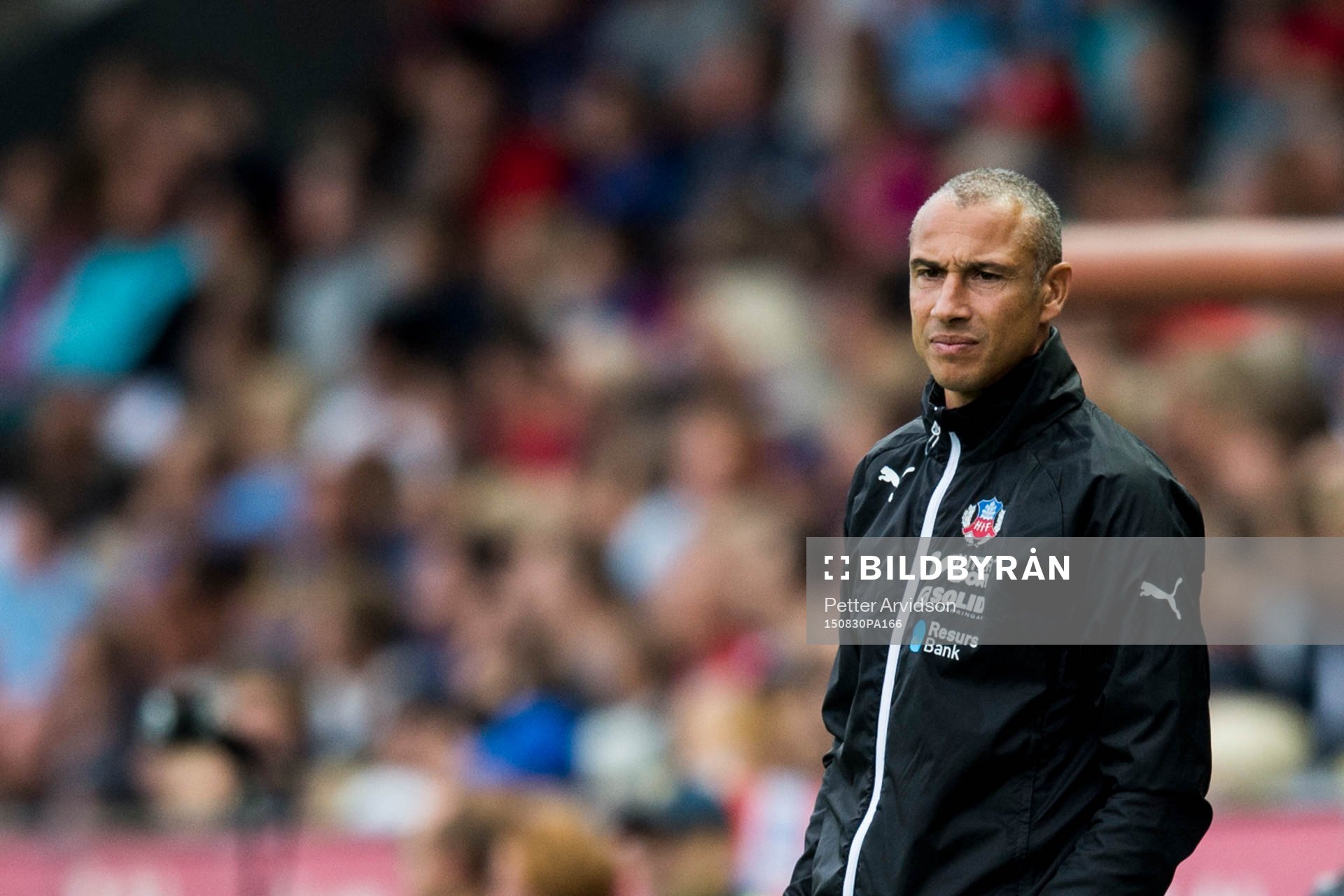 Helsingborgs manager Henrik Larsson