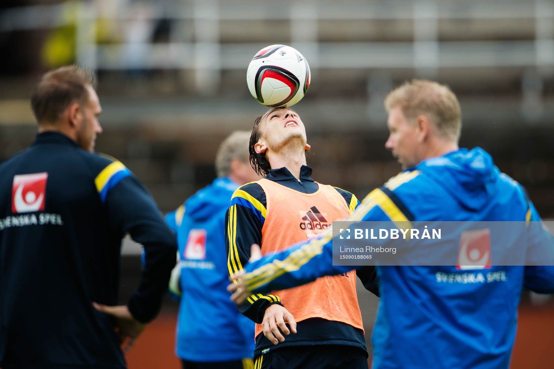 Albin Ekdal