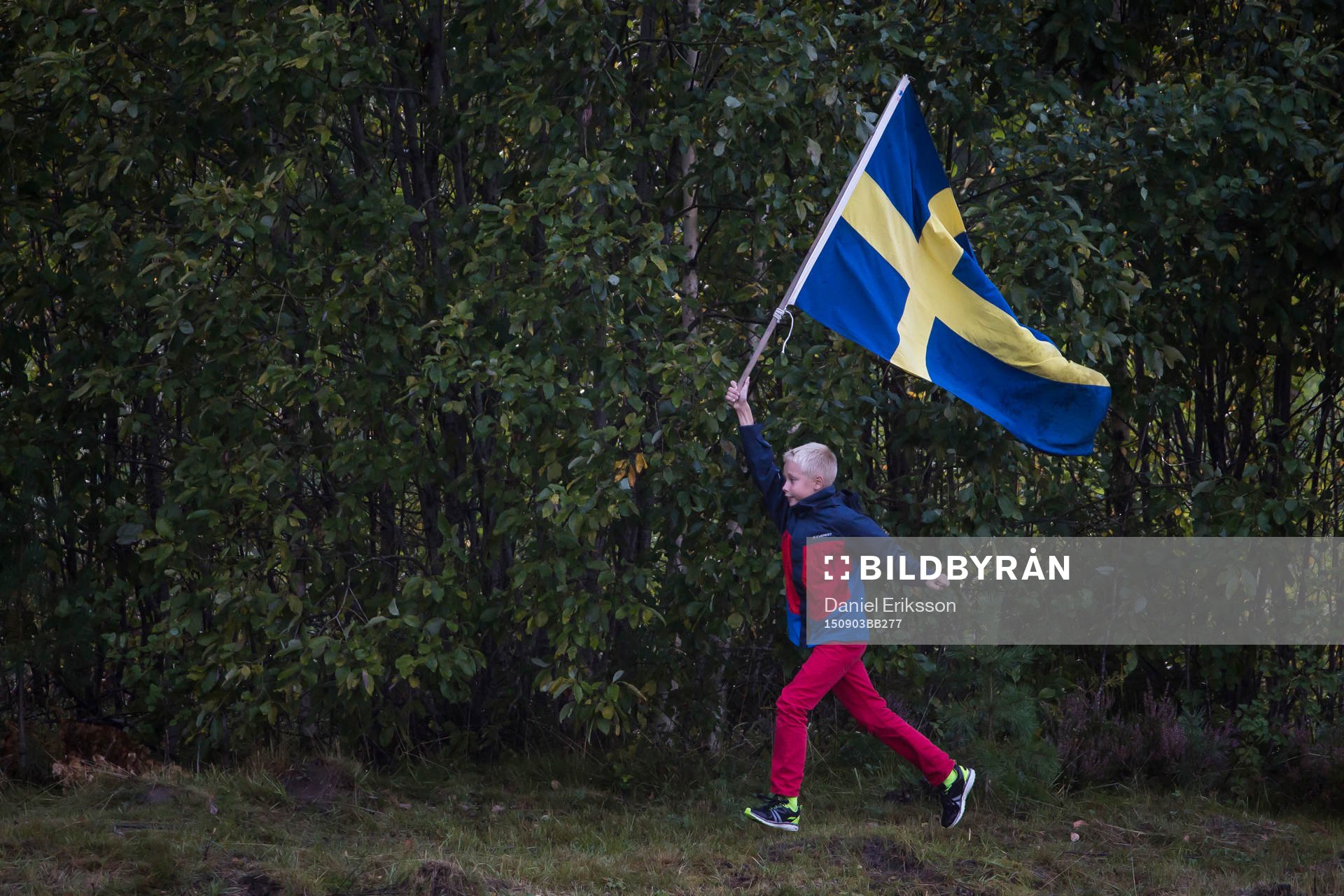 Supporter med svenska flaggan i P18-landskampen i fotboll