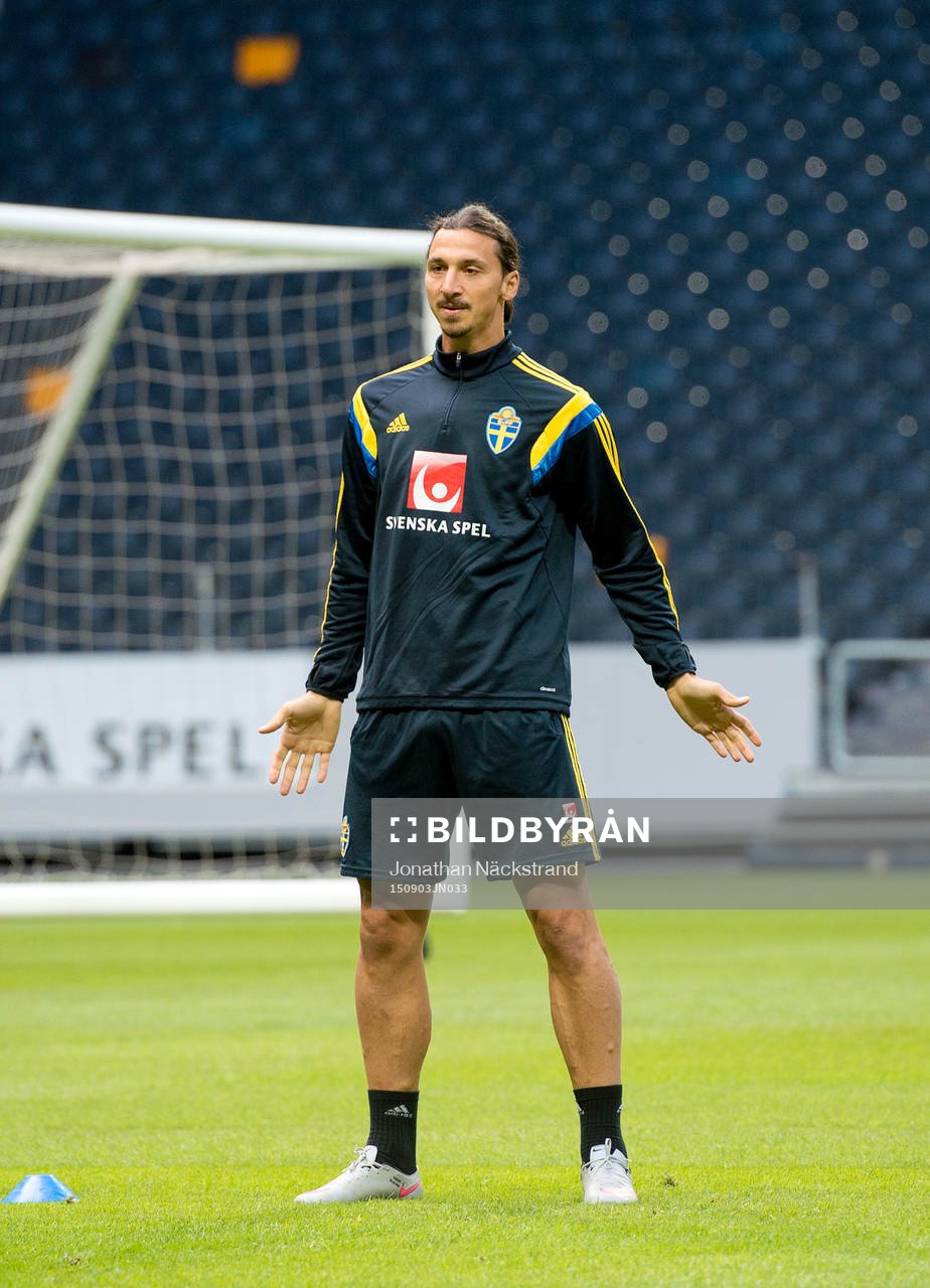 Zlatan Ibrahimovic