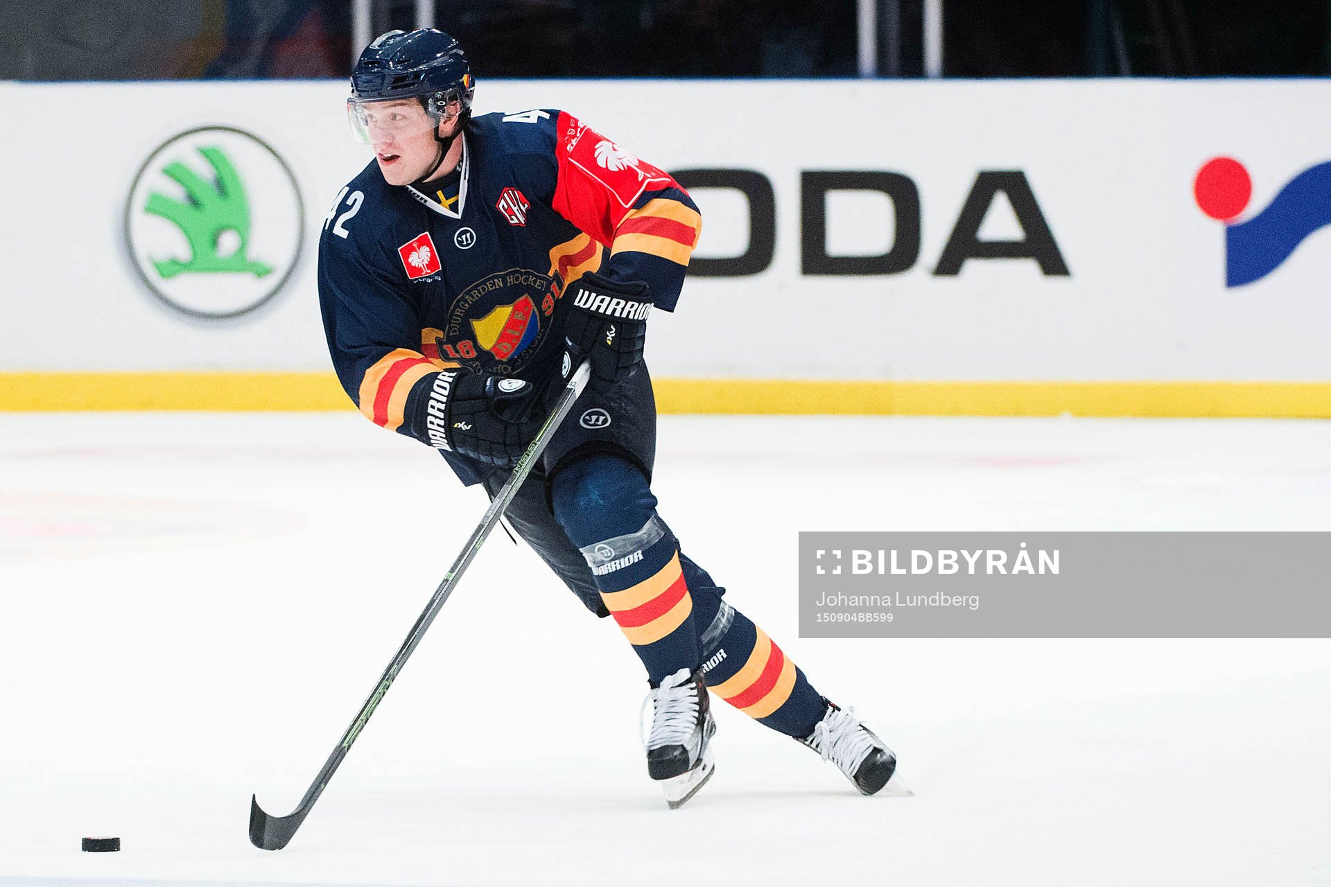 Djurgårdens Robin Press