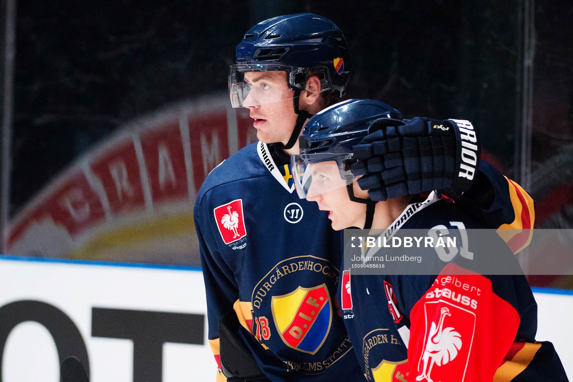 Djurgårdens Daniel Brodin och Markus Ljungh jublar