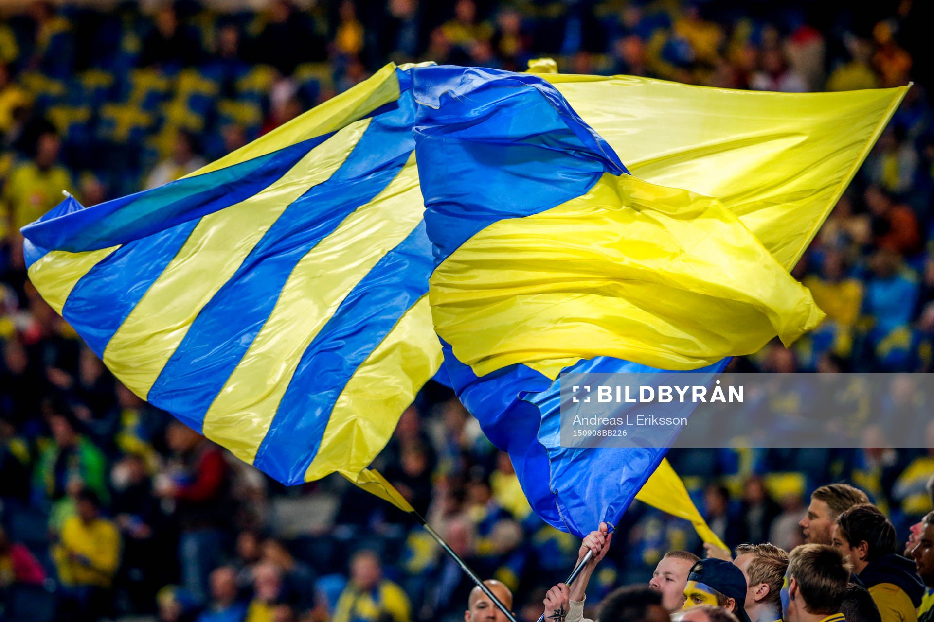 Svenska flaggar före fotbollsmatchen i EM-kvalet mellan