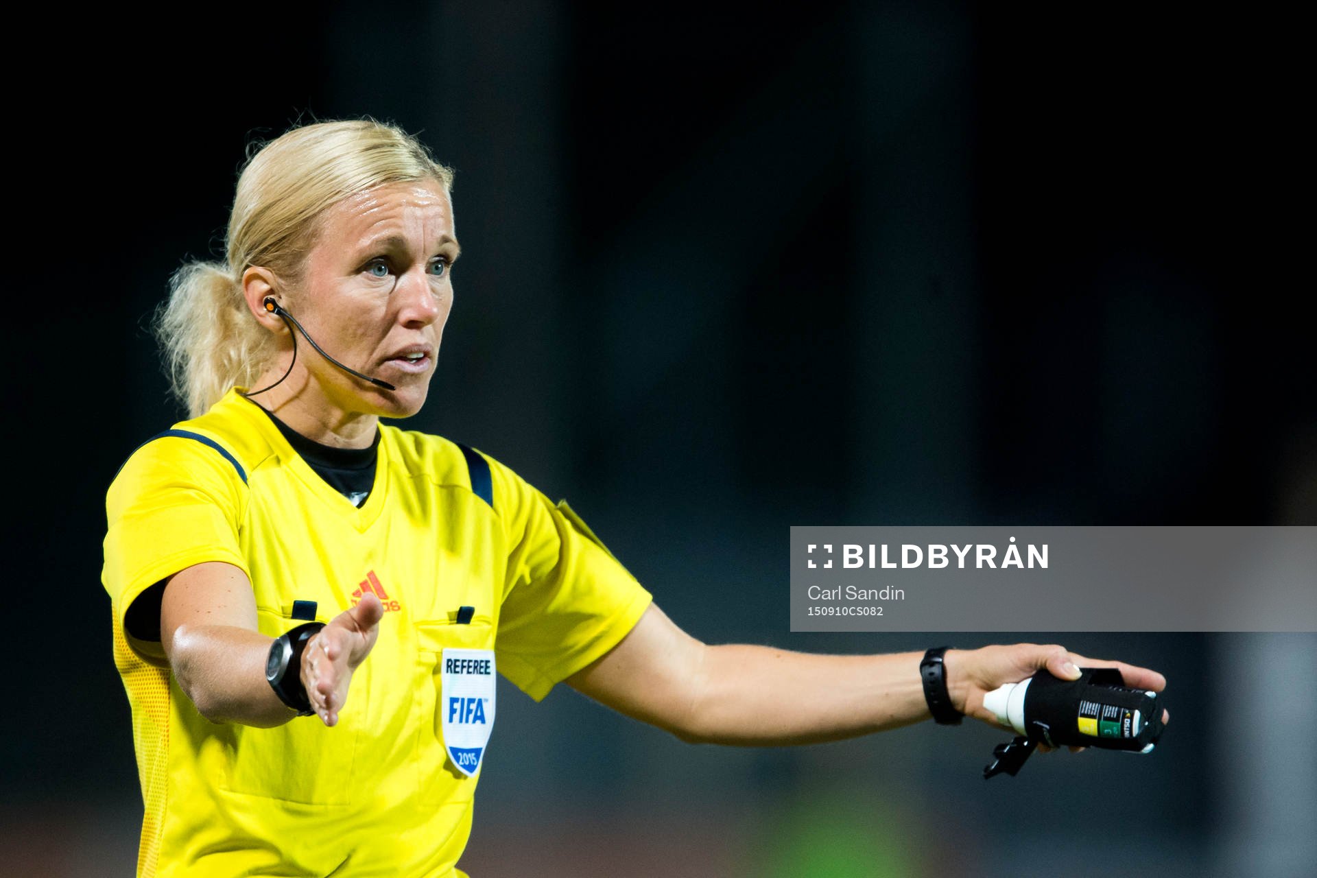 Domare Sara Persson