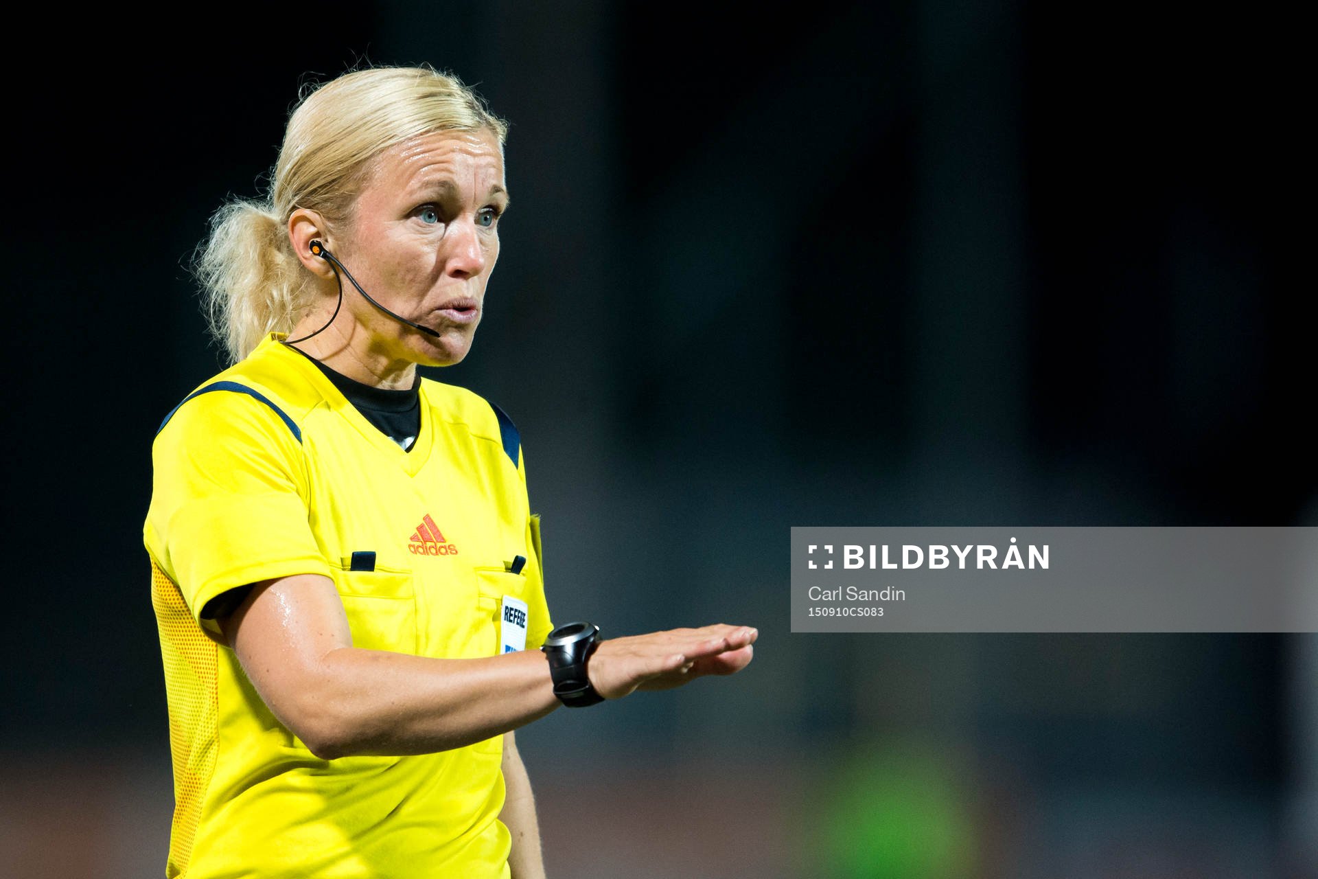 Domare Sara Persson