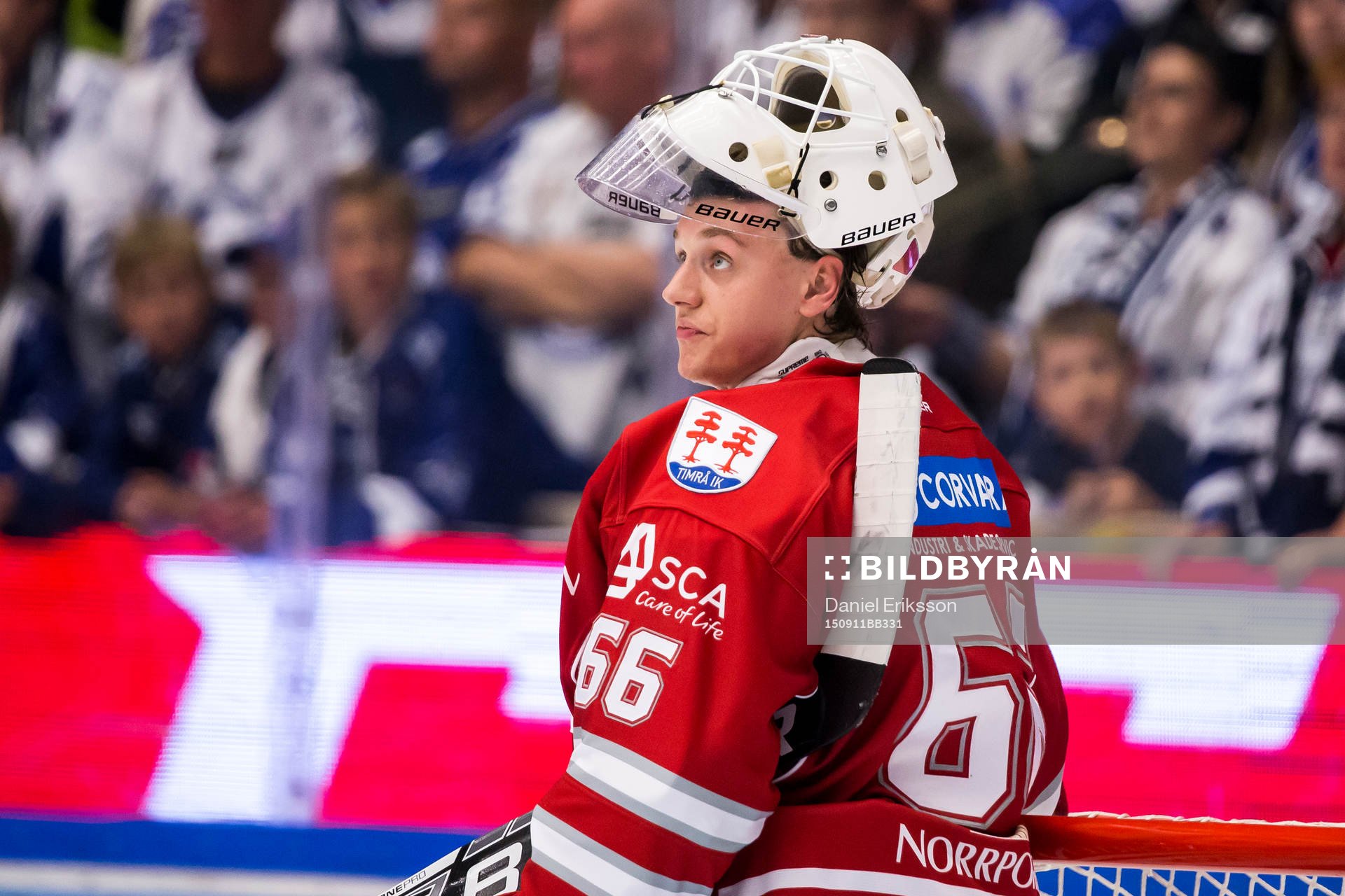 Timrås målvakt Johan Mattsson  i ishockeymatchen i