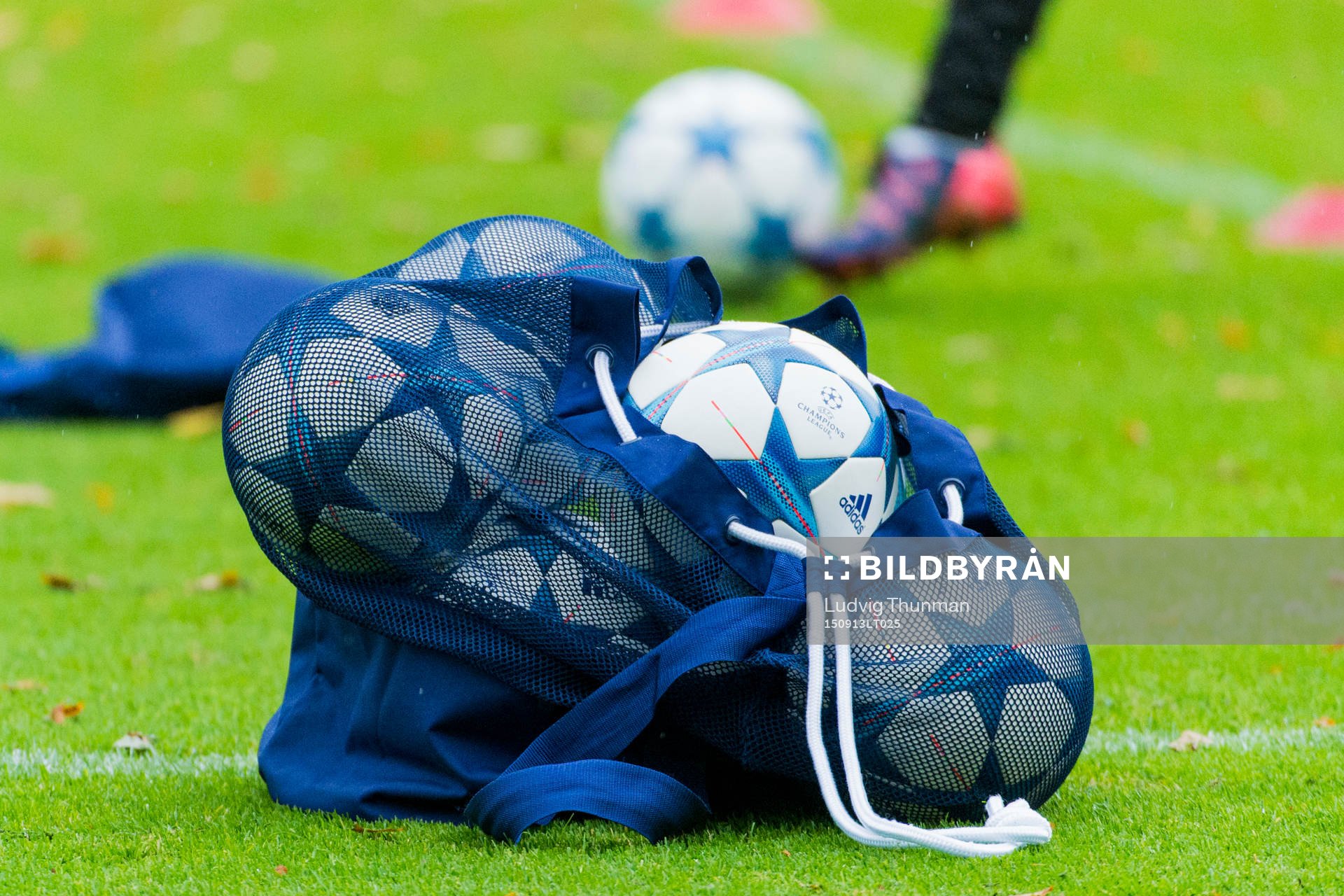 Ett nät med Champions League fotbollar ligger på marken under en träning med Malmö FF den 13 september 2015 i Malmö. 
