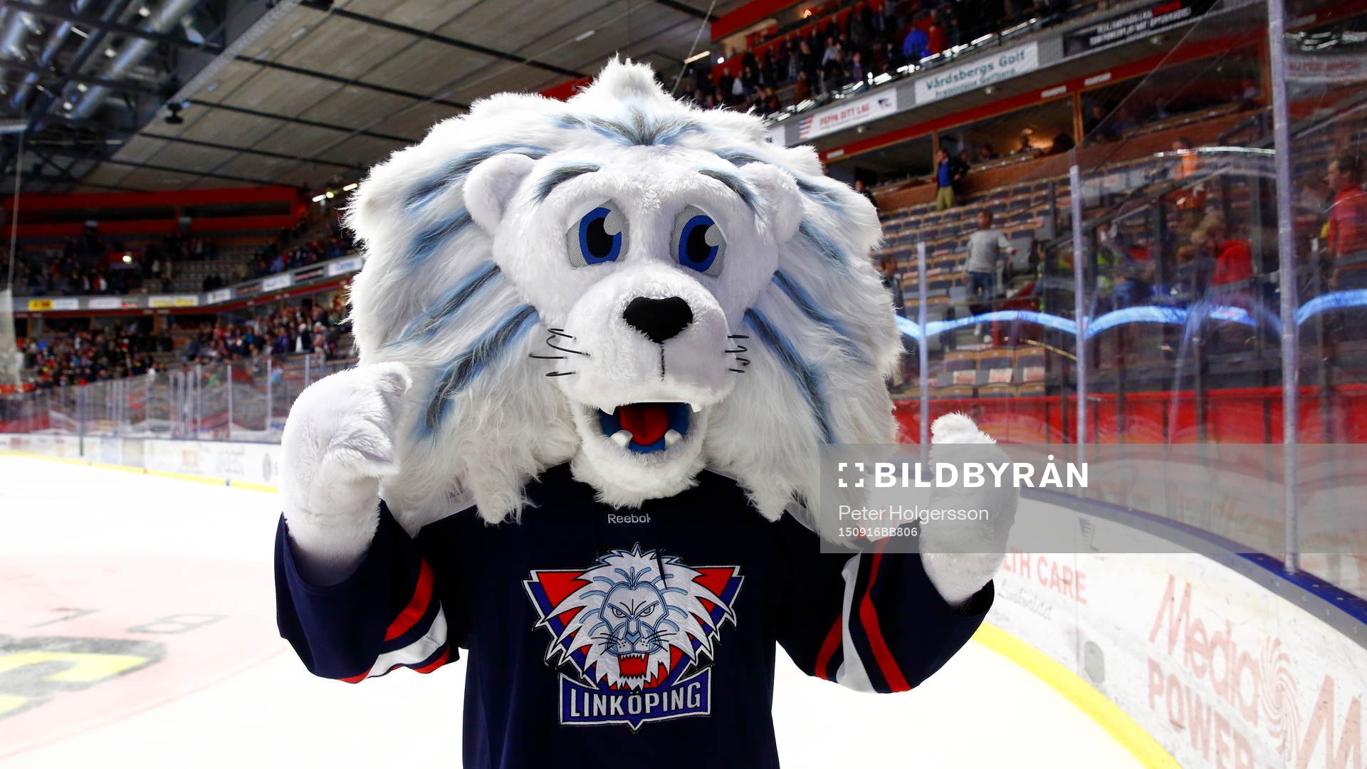 Linköpings maskot Sture jublar