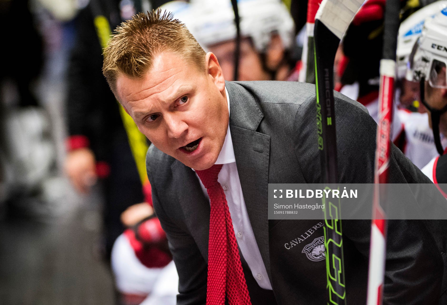 Malmö Redhawks assisterande tränare Andreas Hadelöv