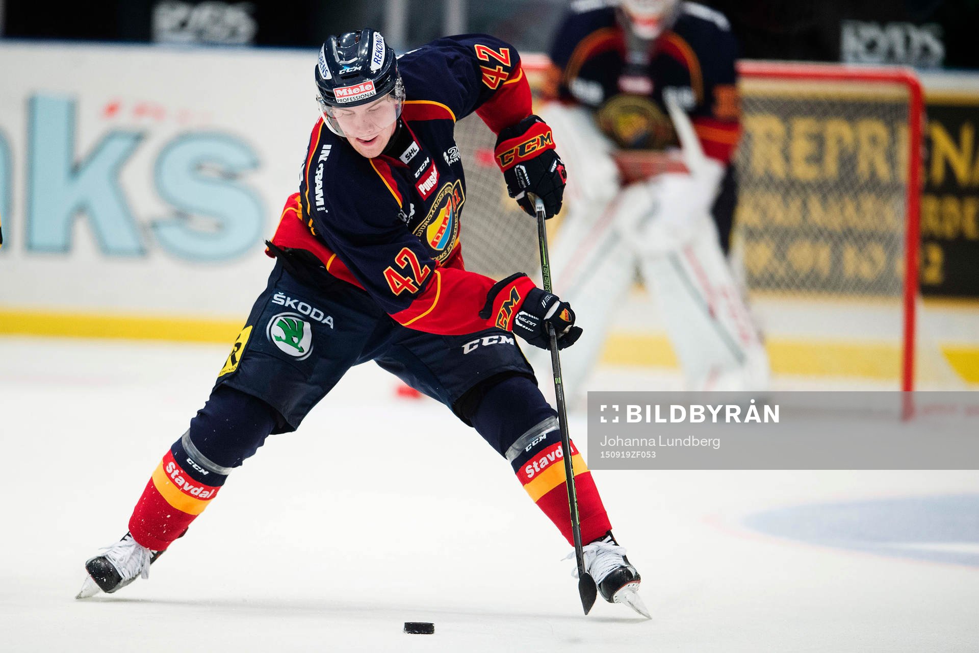 Djurgårdens Robin Press