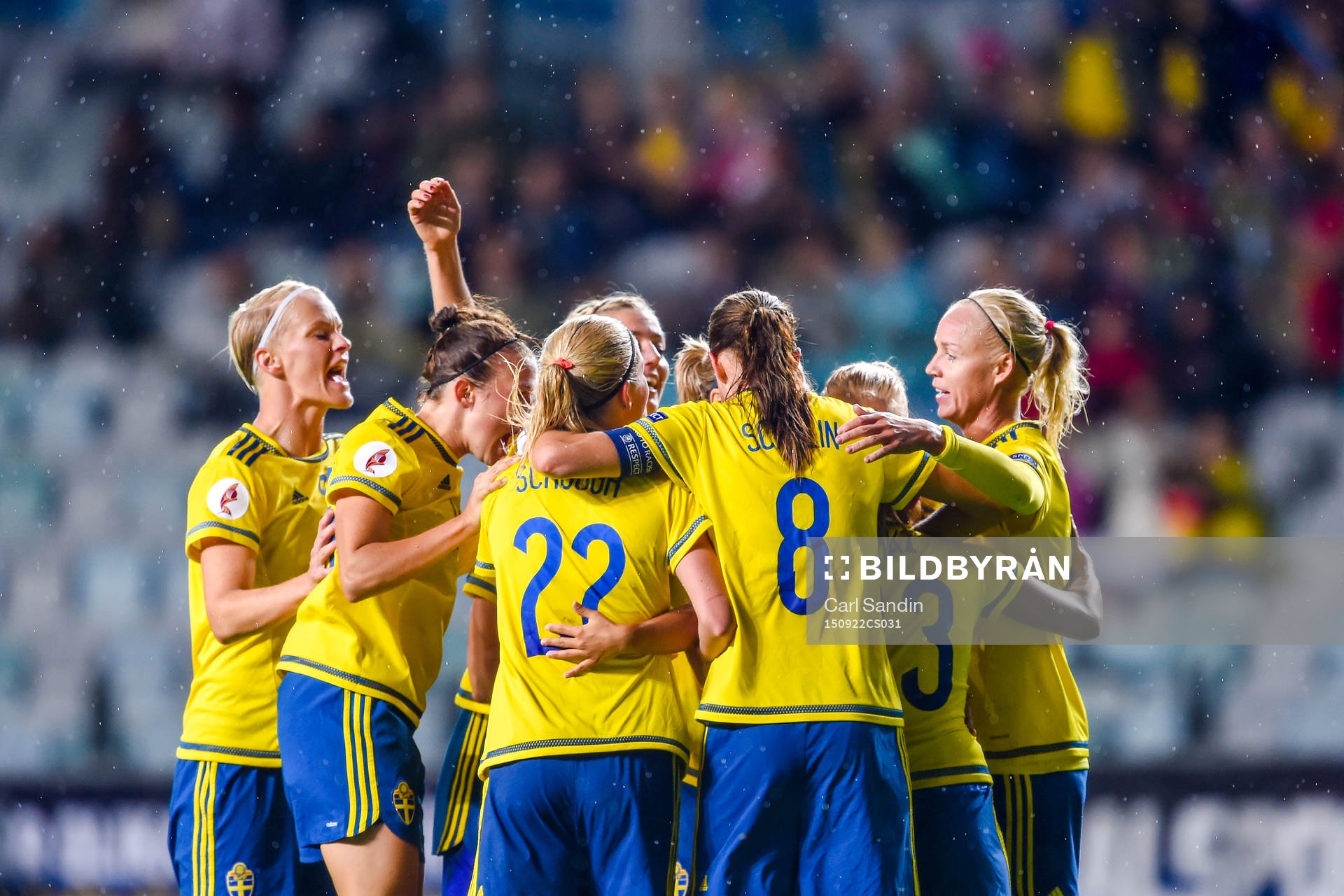 Sveriges spelare jublar