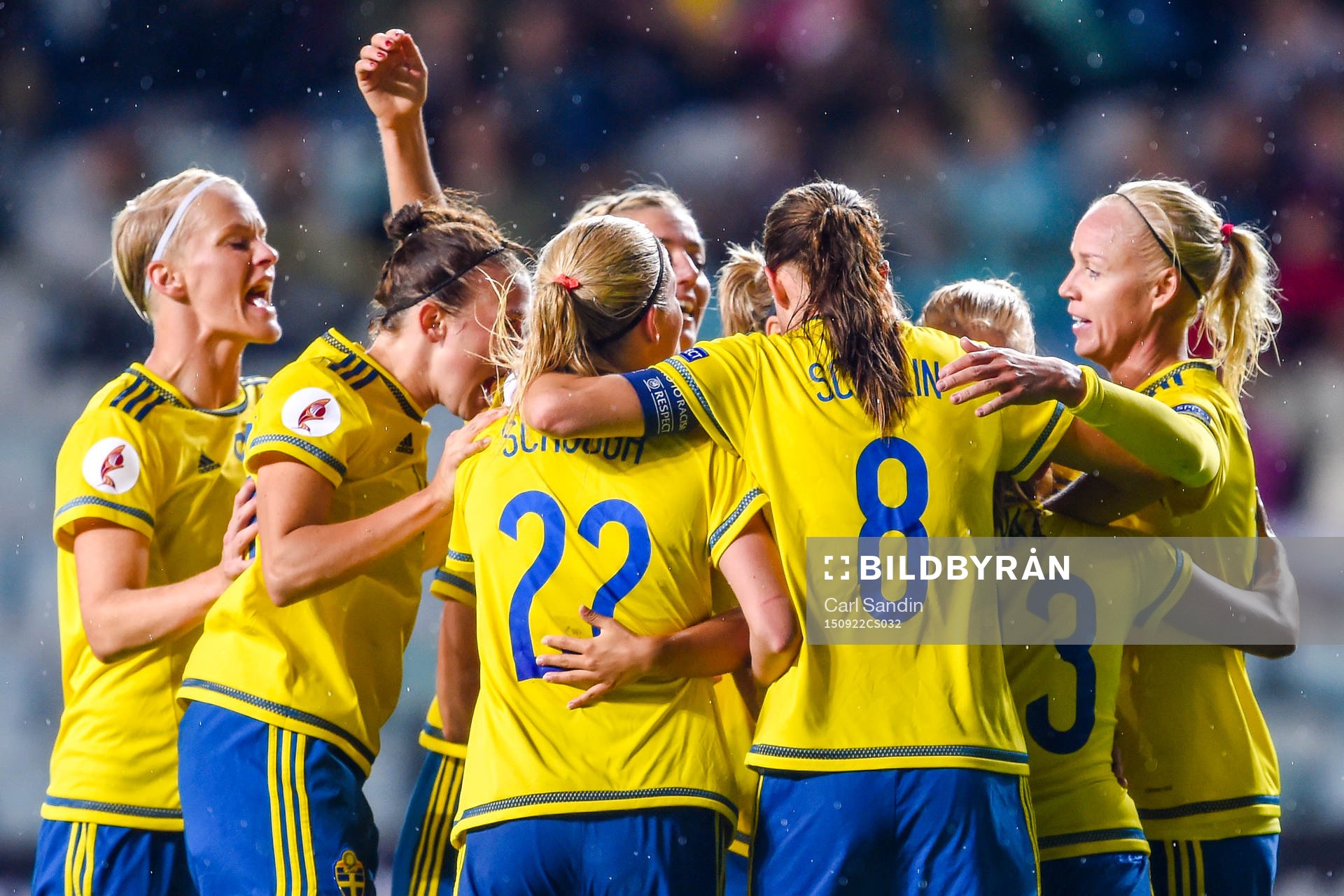Sveriges spelare jublar