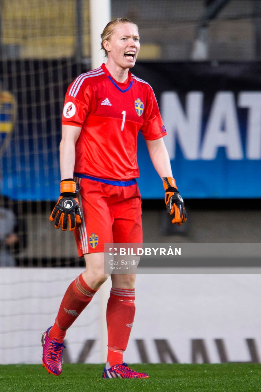under EM-kvalmatchen i fotboll mellan Sverige och Polen