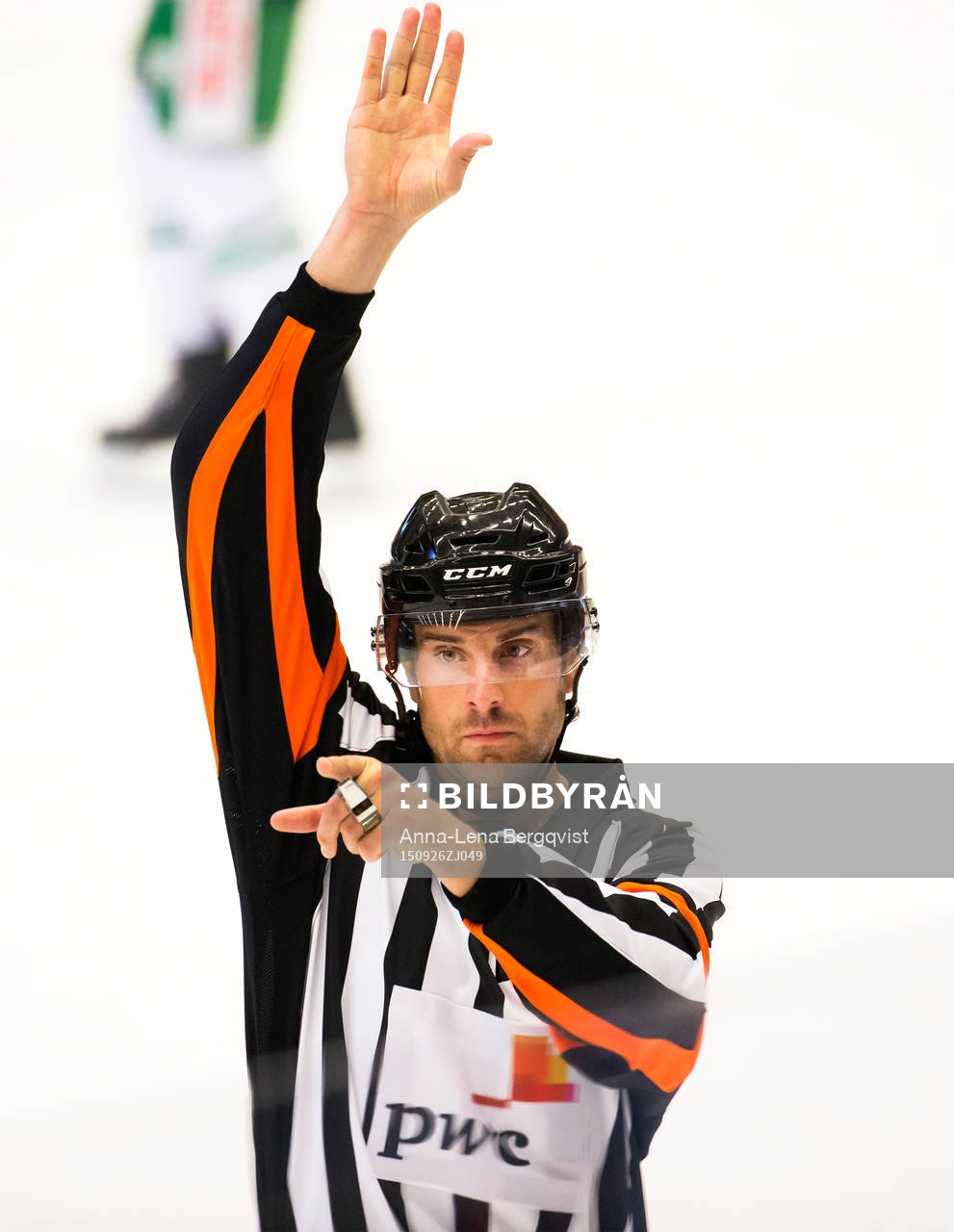 Domare Mikael Sjöqvist