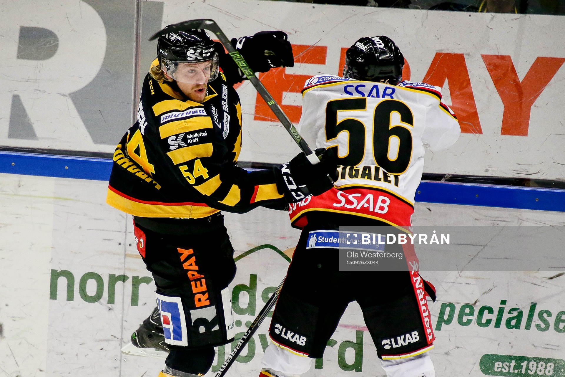 Skellefteås Anton Lindholm