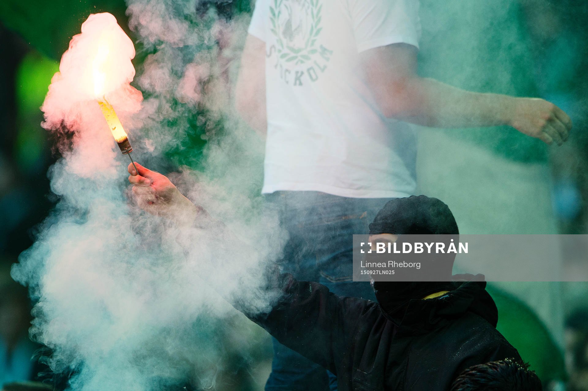 Hammarbys klack tände bengaler