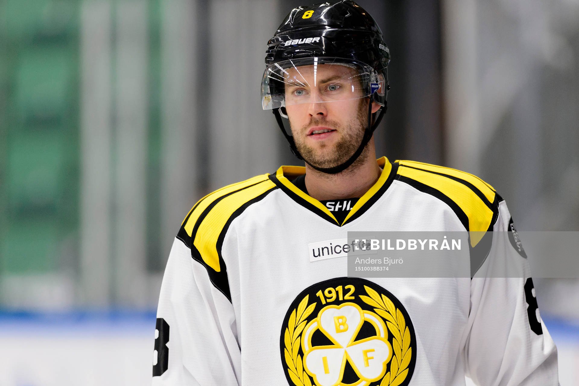 Brynäs Mathias Porseland