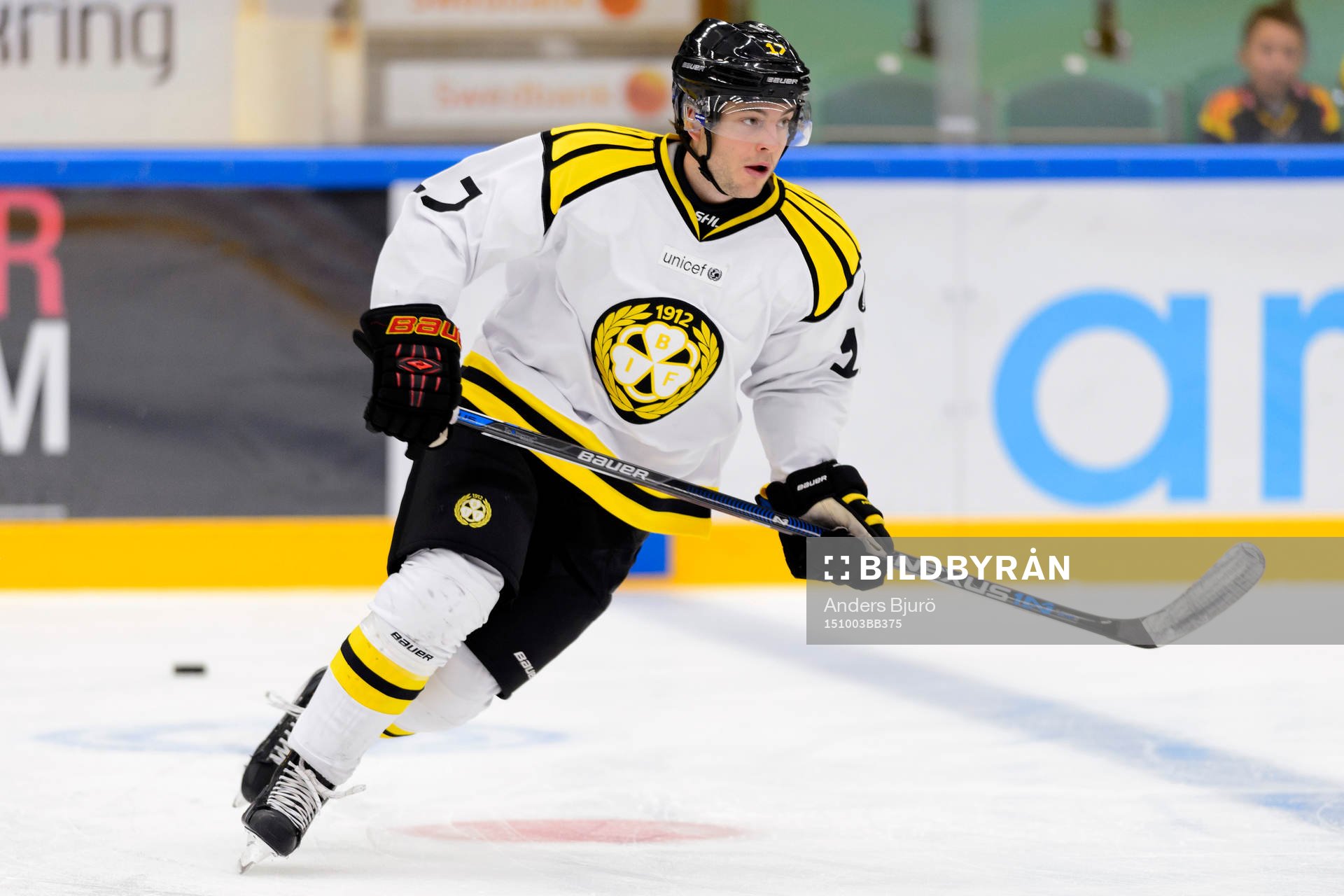 Brynäs Pathrik Westerholm