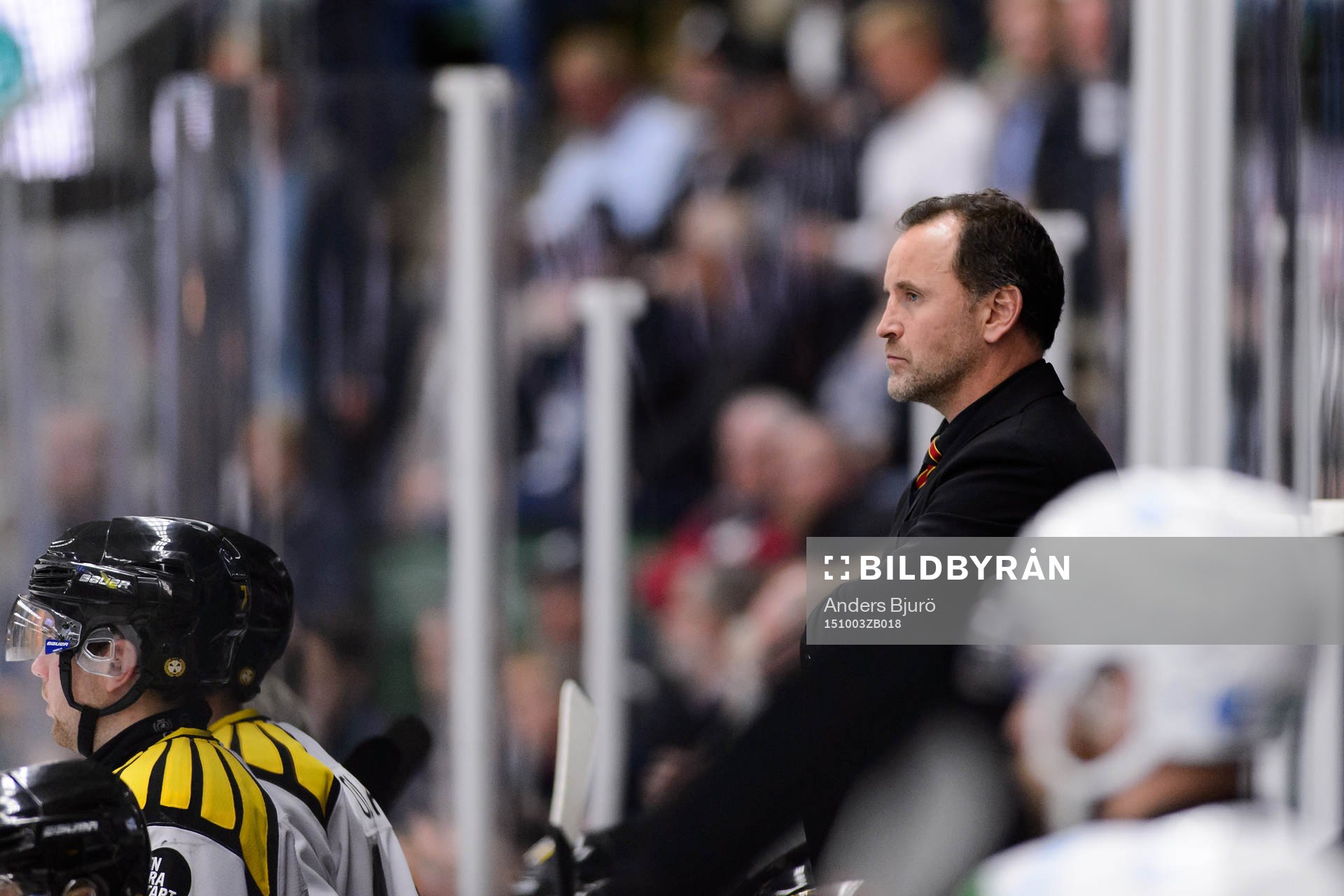 Brynäs tränare Thomas Berglund