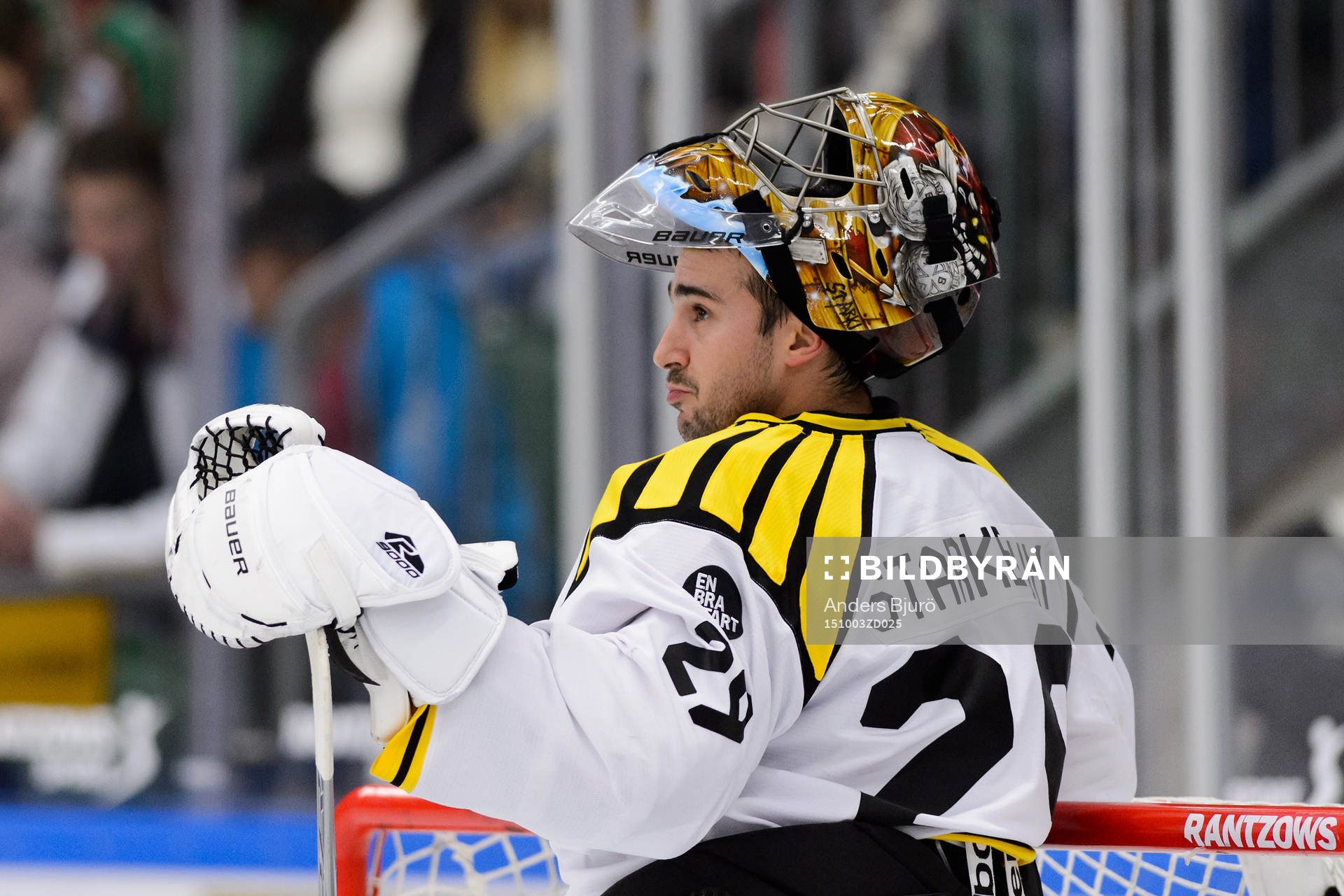 Brynäs målvakt Bernhard Starkbaum