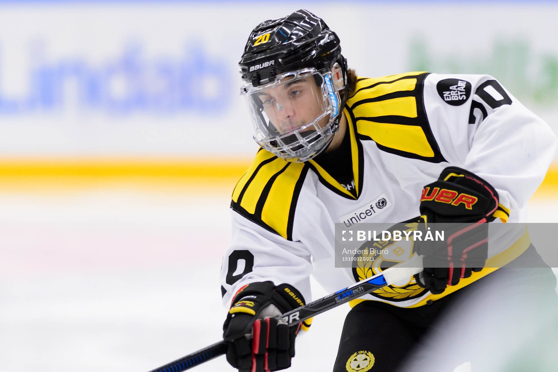 Brynäs Adam Brodecki