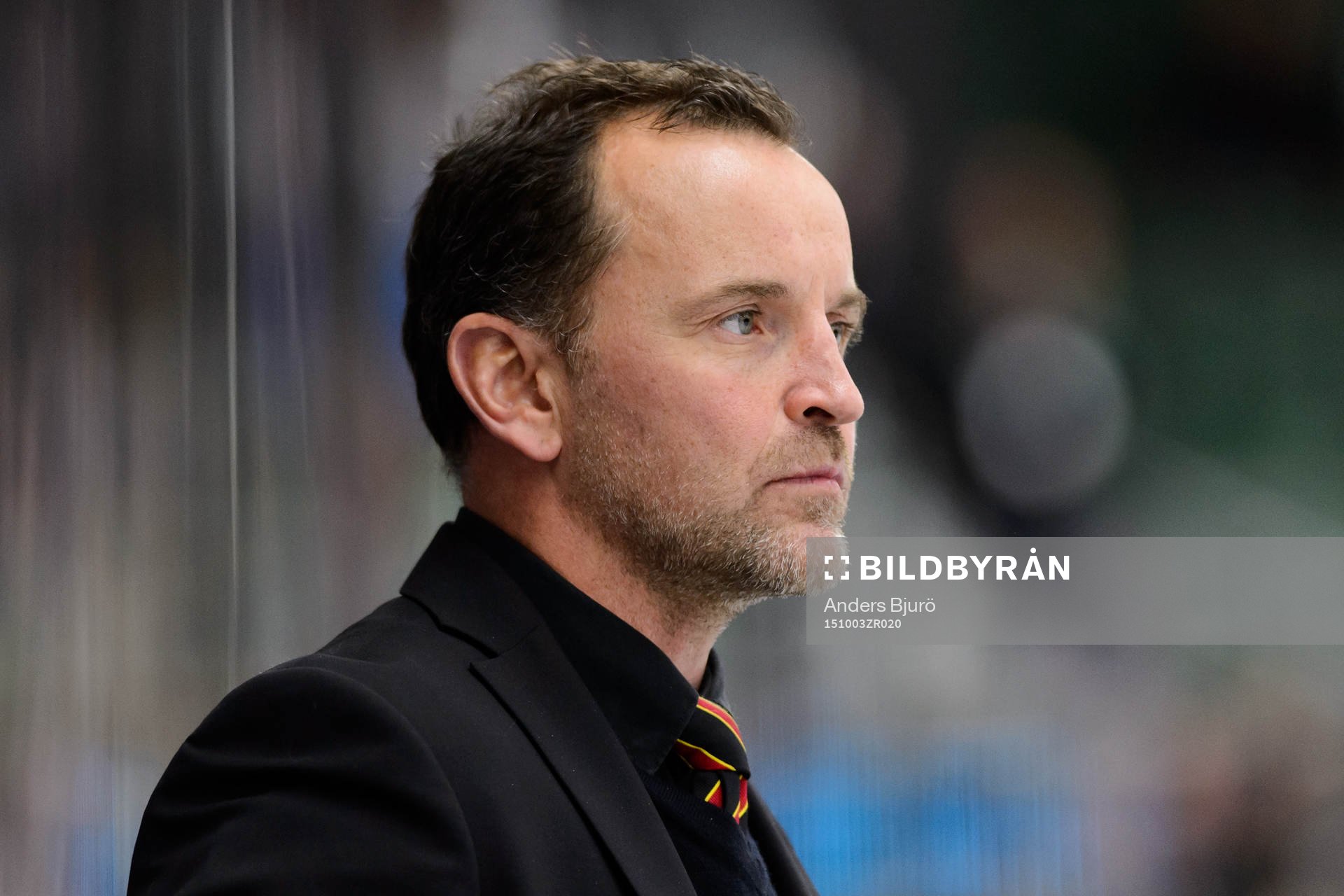 Brynäs tränare Thomas Berglund