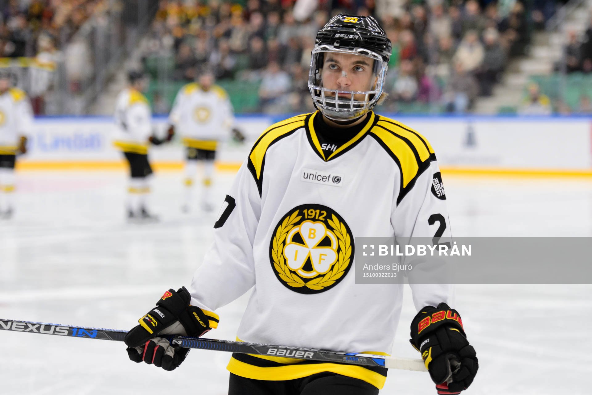 Brynäs Adam Brodecki