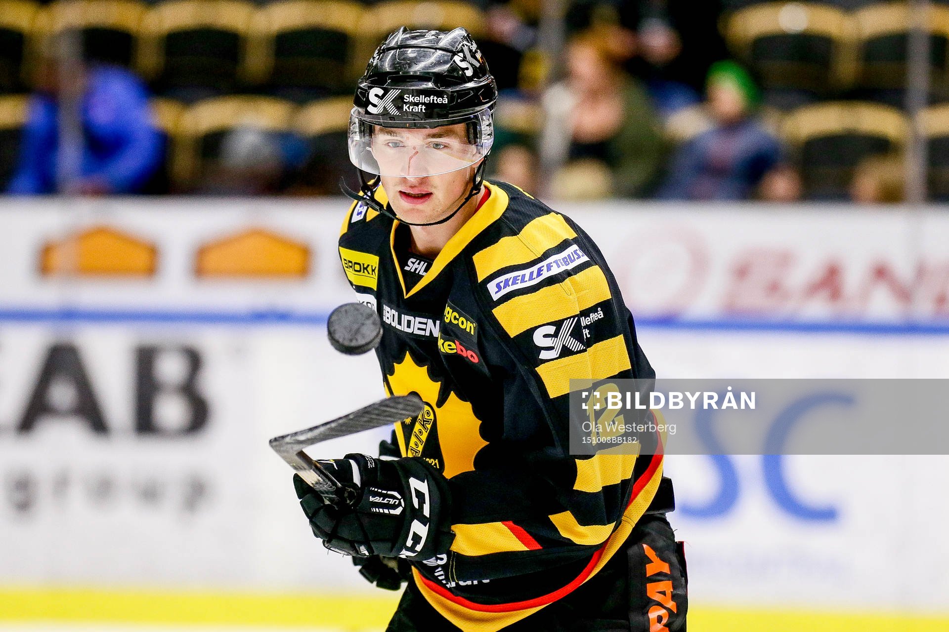 Skellefteås Adam Pettersson