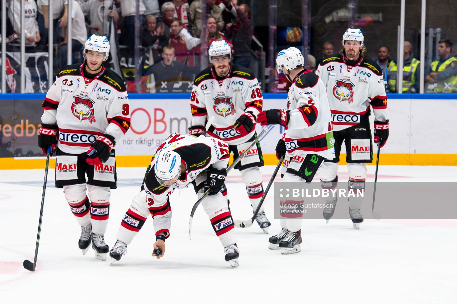 Malmö Redhawks Malmö Redhawks TJ Galiardi  plockar opp