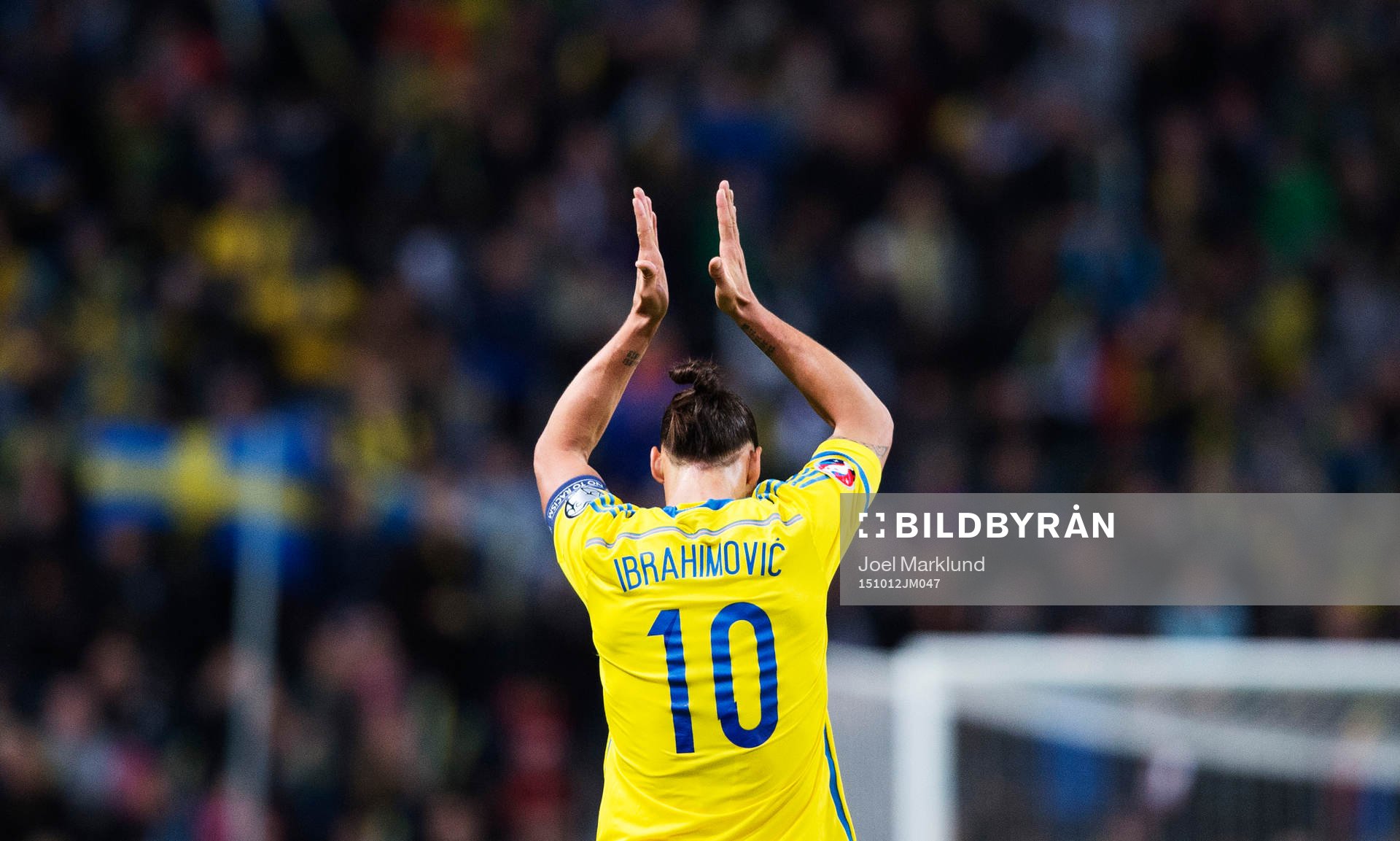 Sveriges Zlatan Ibrahimovic jublar