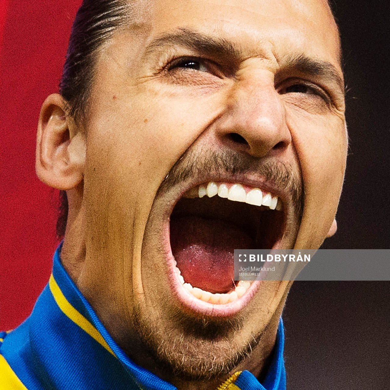 Sveriges Zlatan Ibrahimovic grimaserar