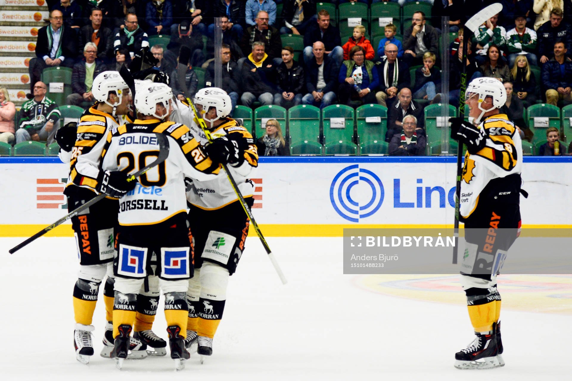 Skellefteås Tim Heed jublar