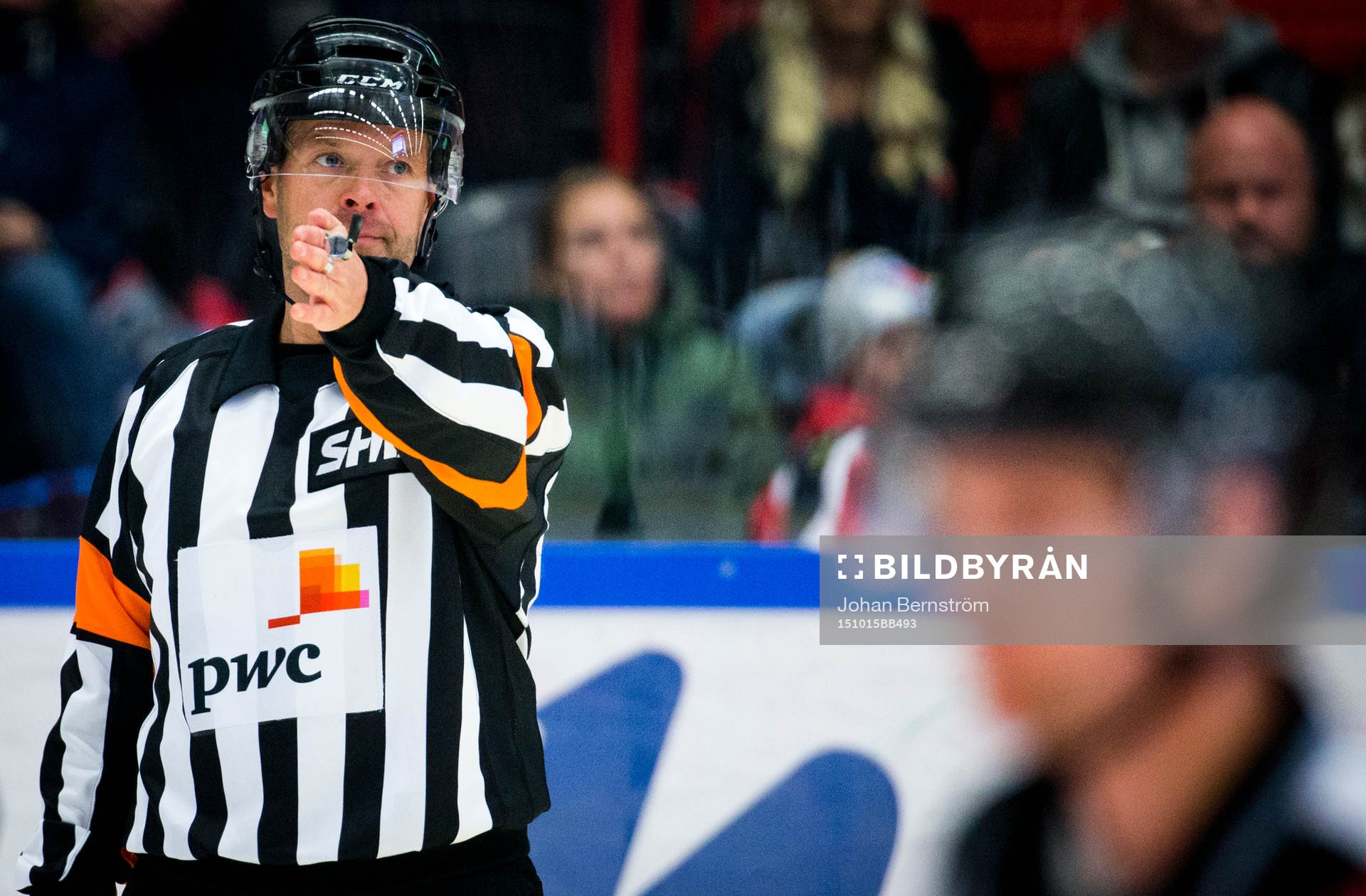 Domare Patrik Sjöberg