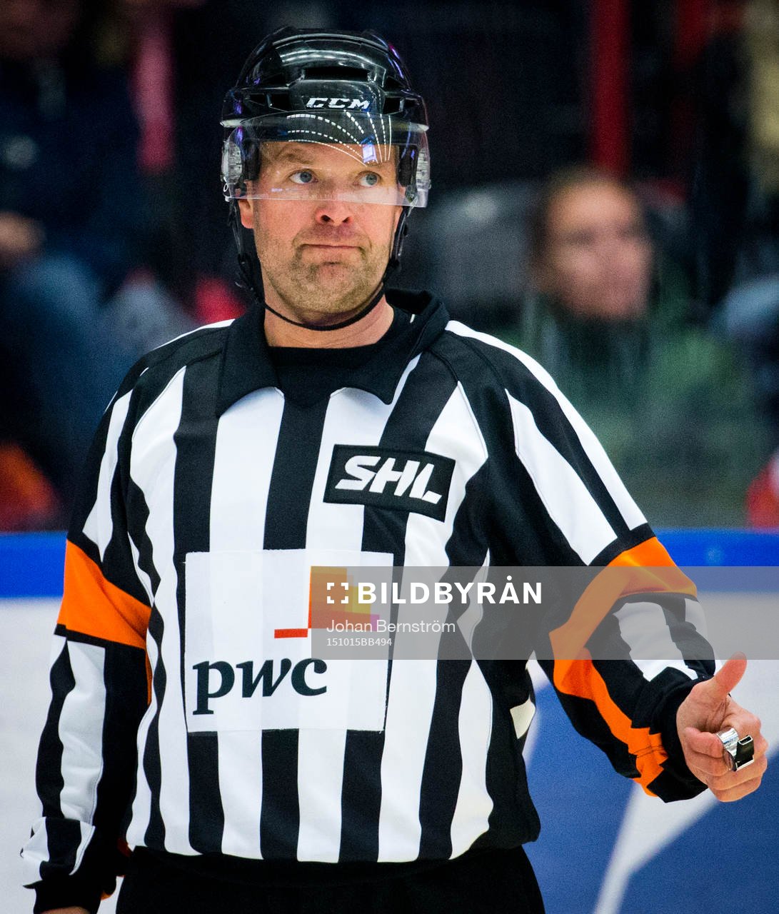 Domare Patrik Sjöberg