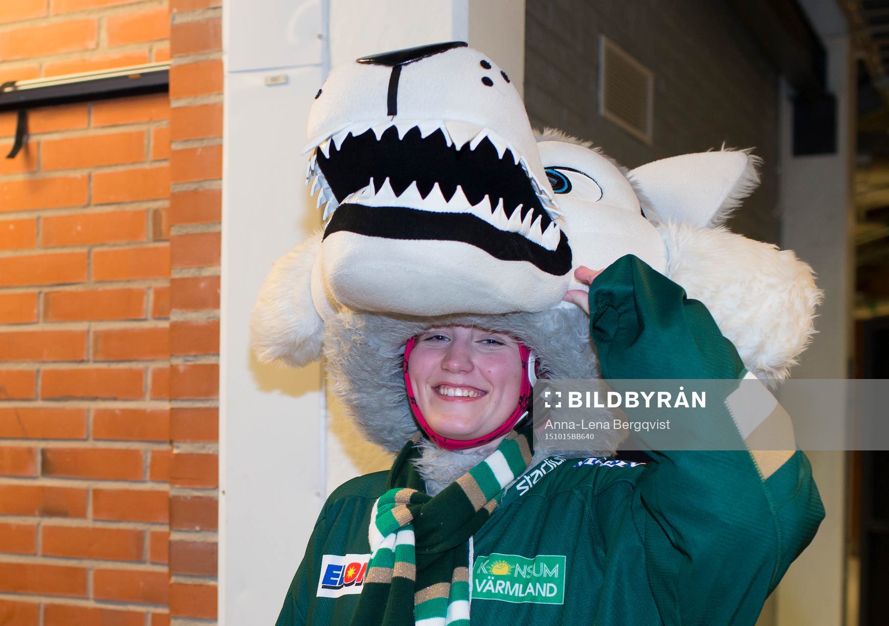 Färjestads maskot Ture Varg vädrar ansiktet