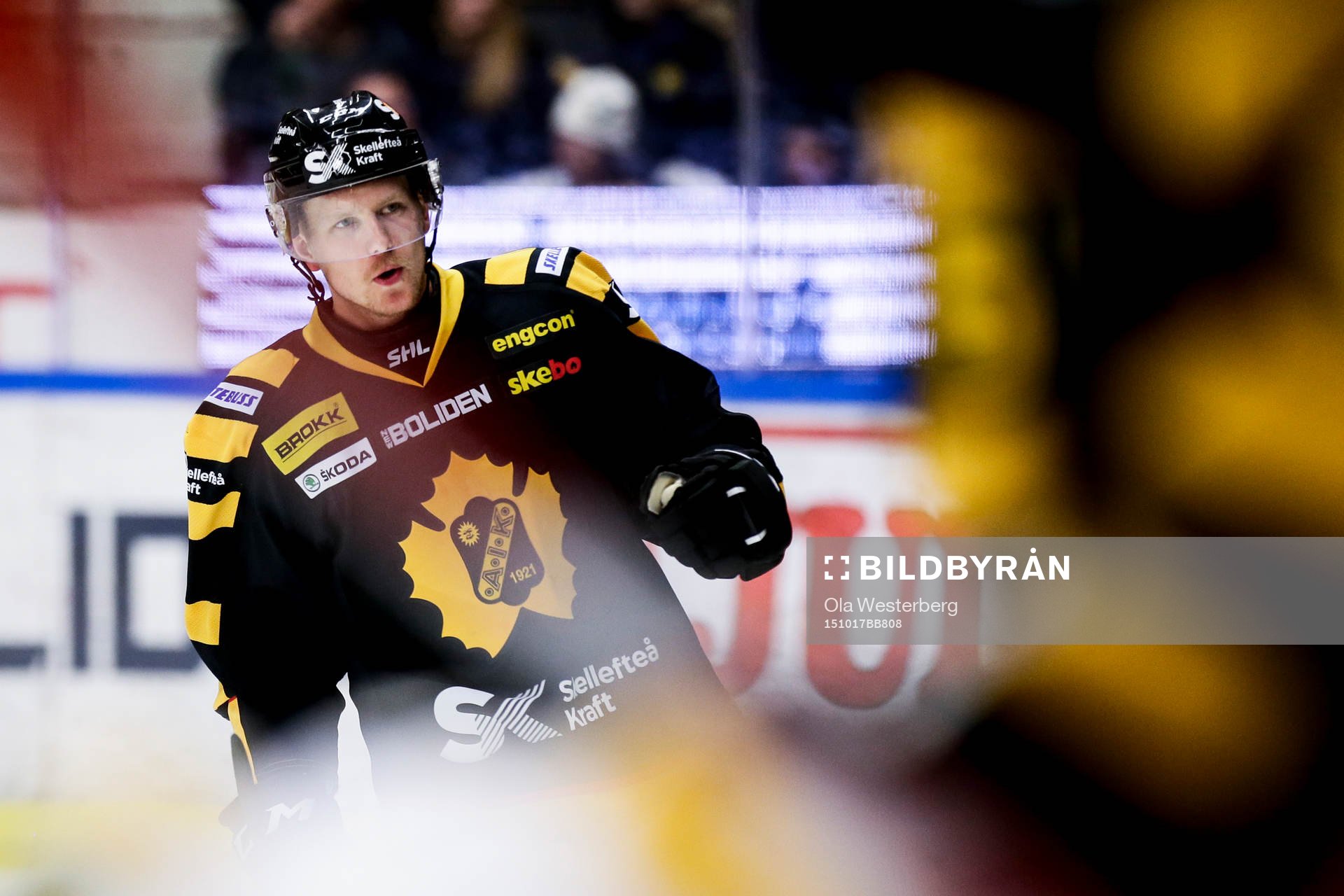 Skellefteås Tim Heed jublar
