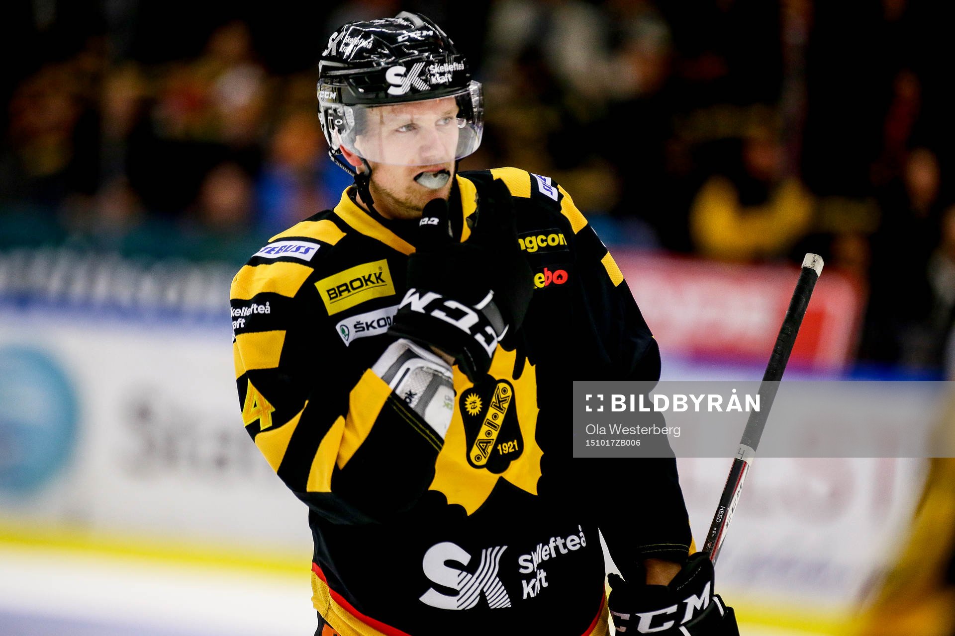 Skellefteås Tim Heed jublar