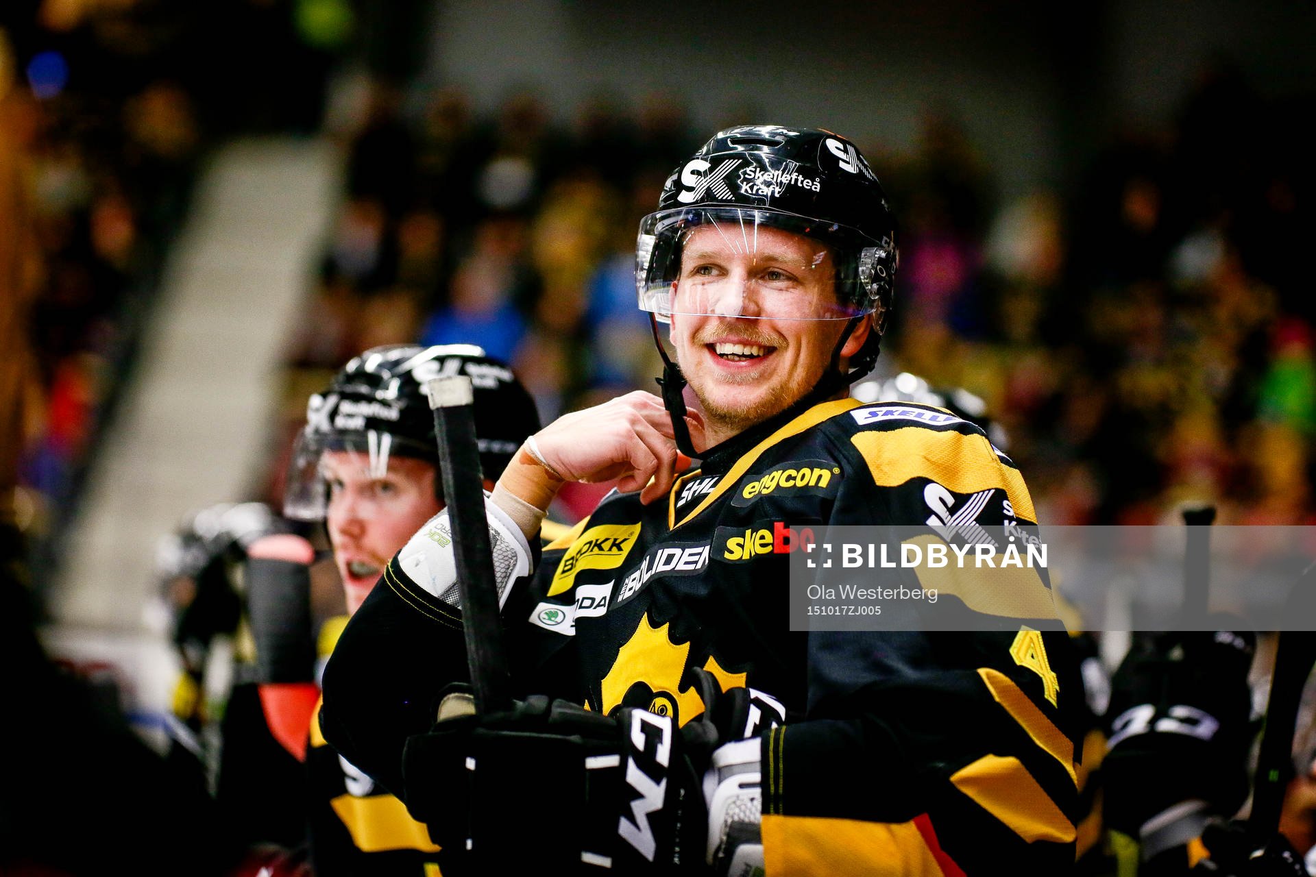 Skellefteås Tim Heed jublar