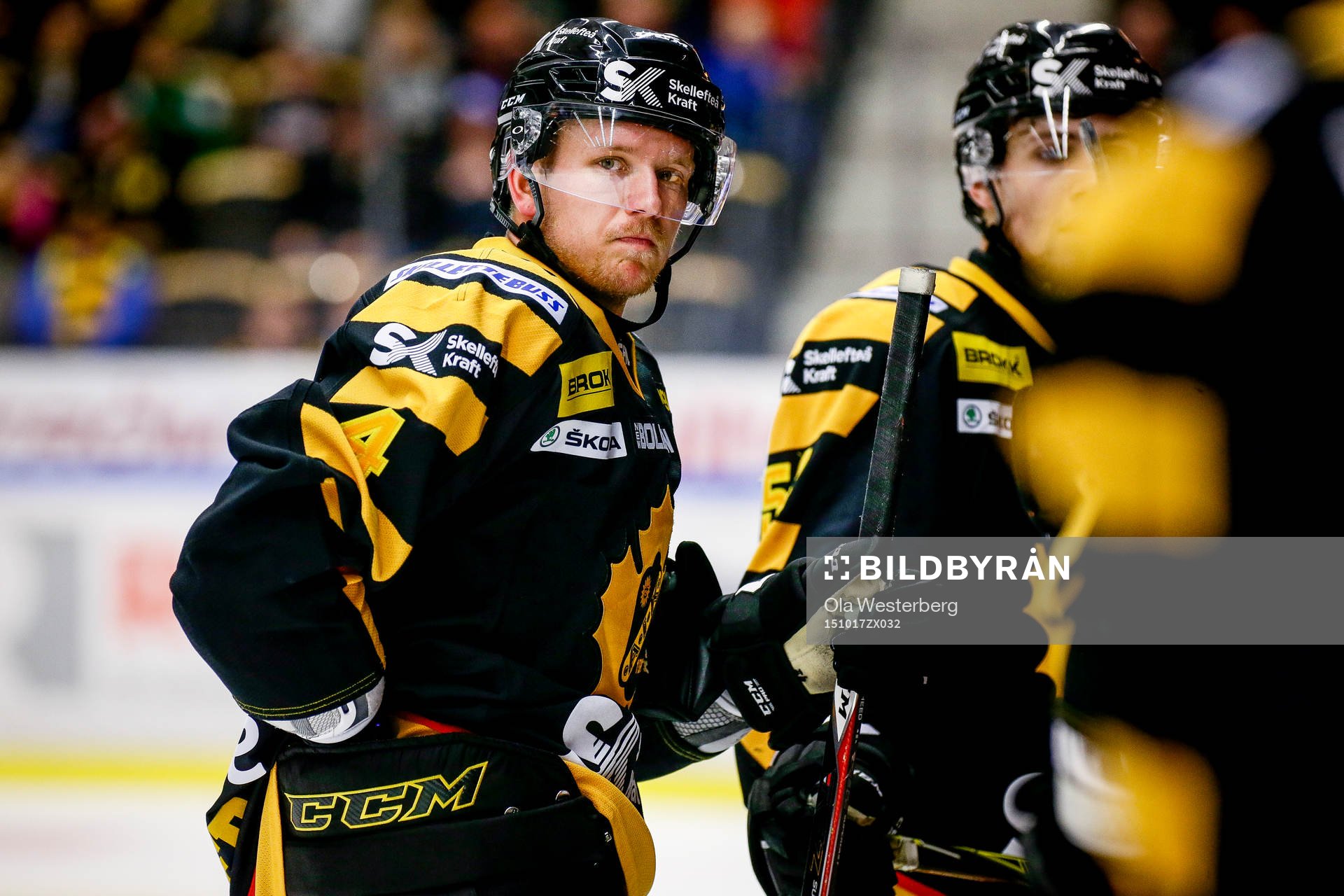 Skellefteås Tim Heed