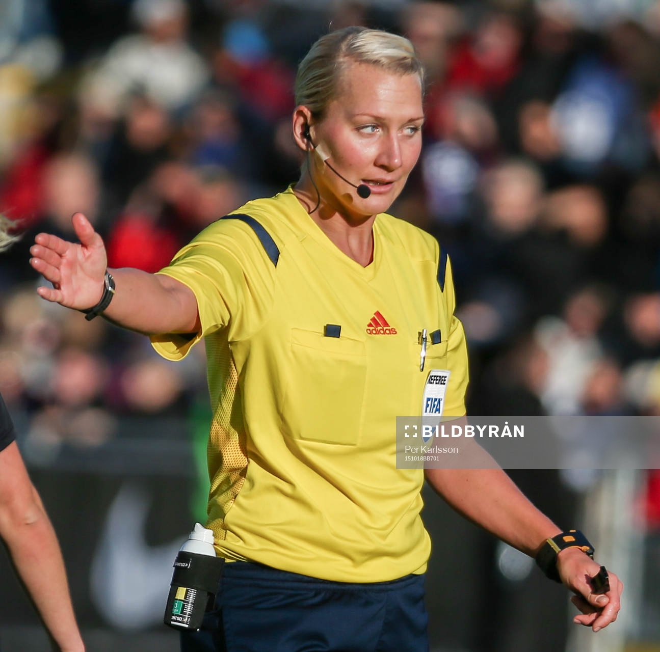 Domare Tess Olofsson